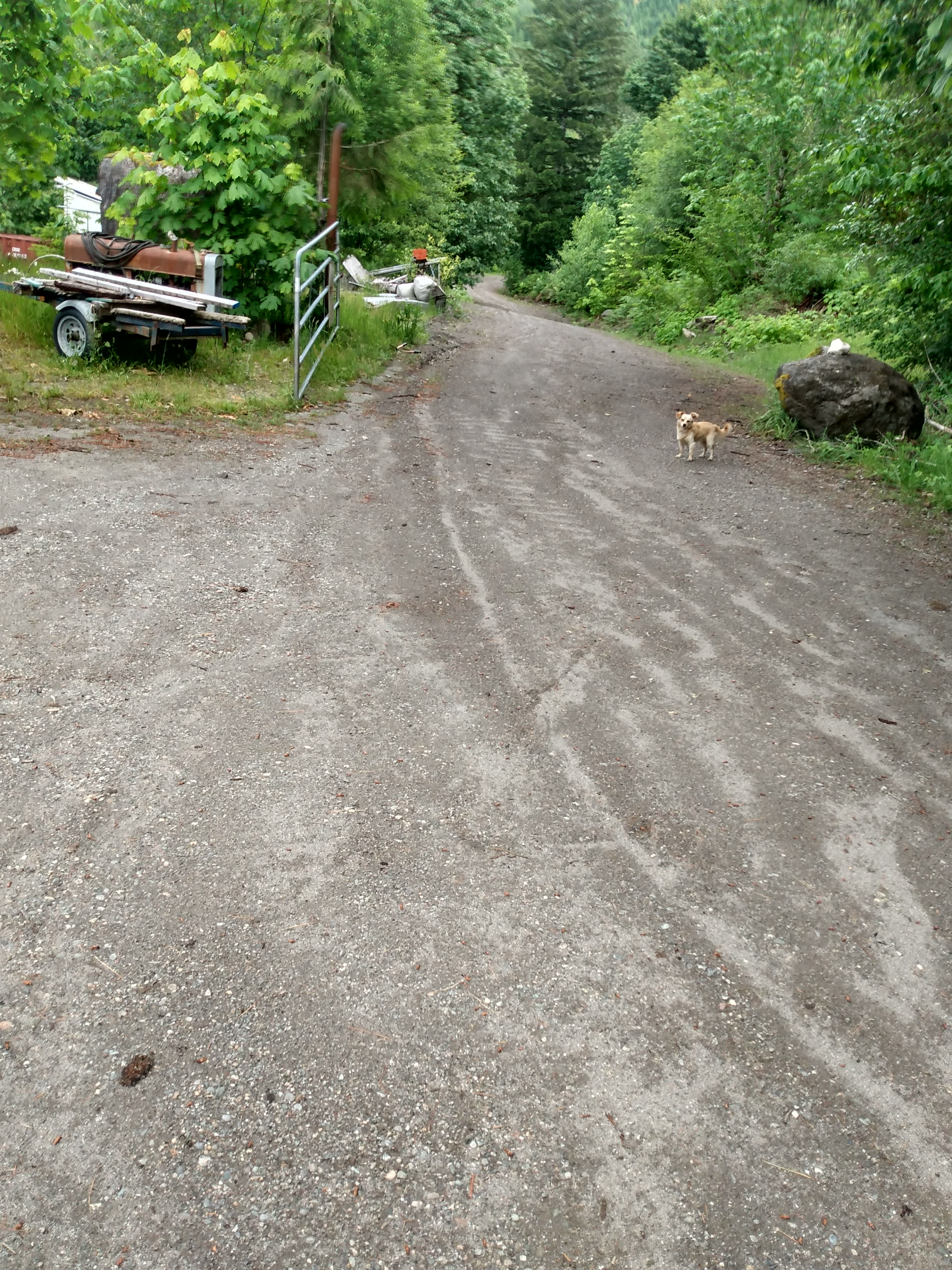 Buster's on the Sauk River