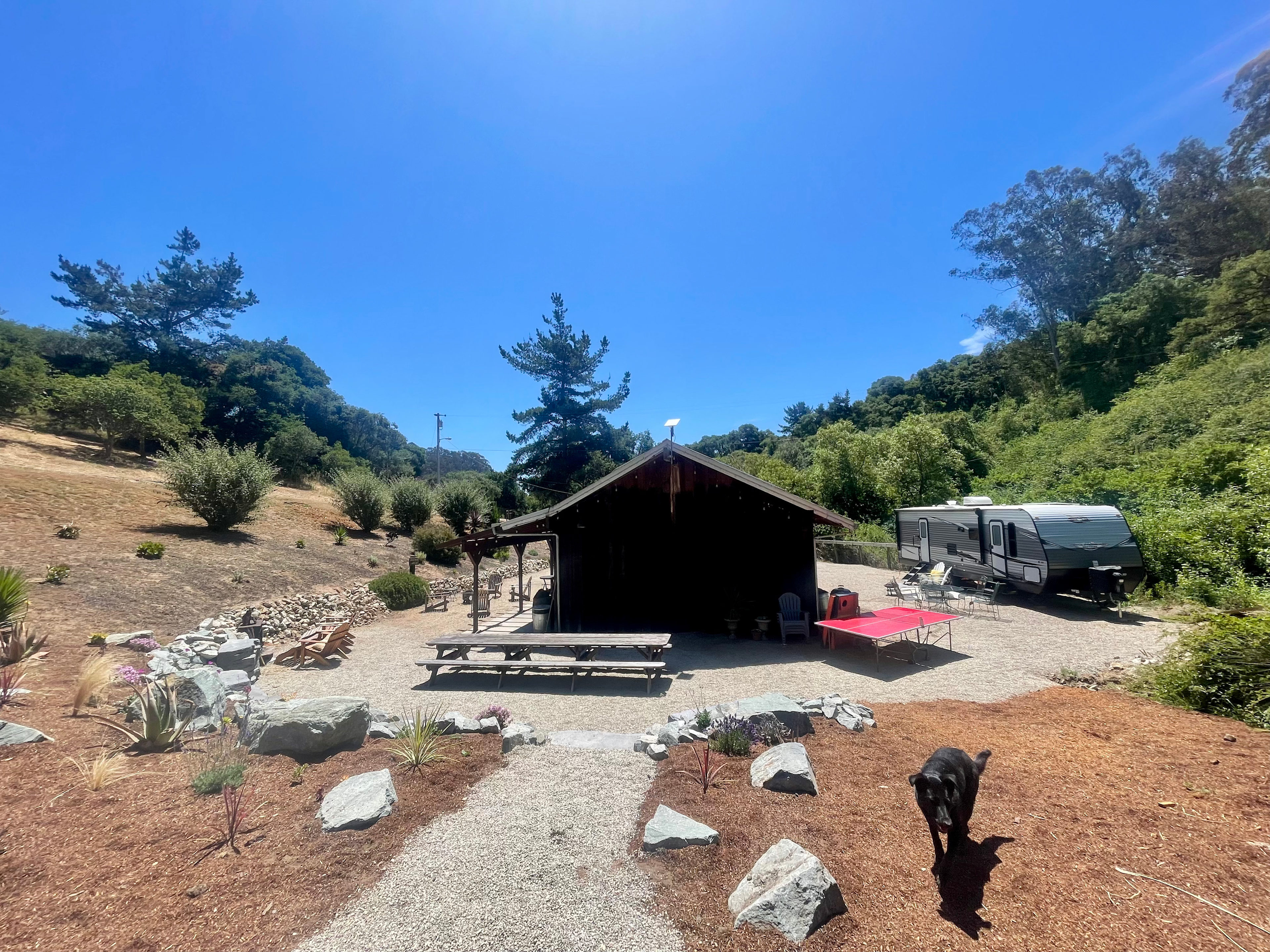 Driftwood Van and Tent Camping