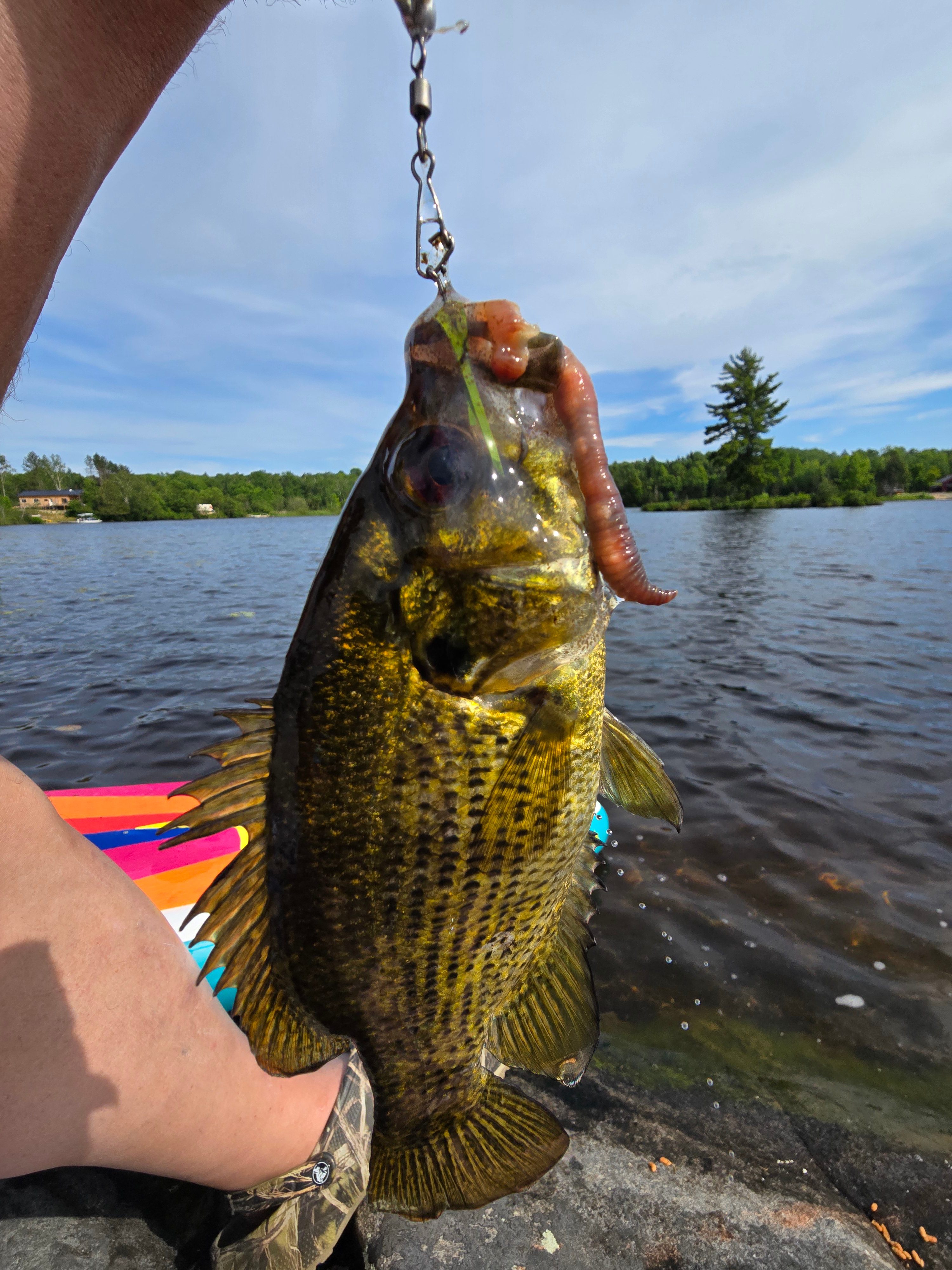 Lakeside (Parry Sound/Nipissing)