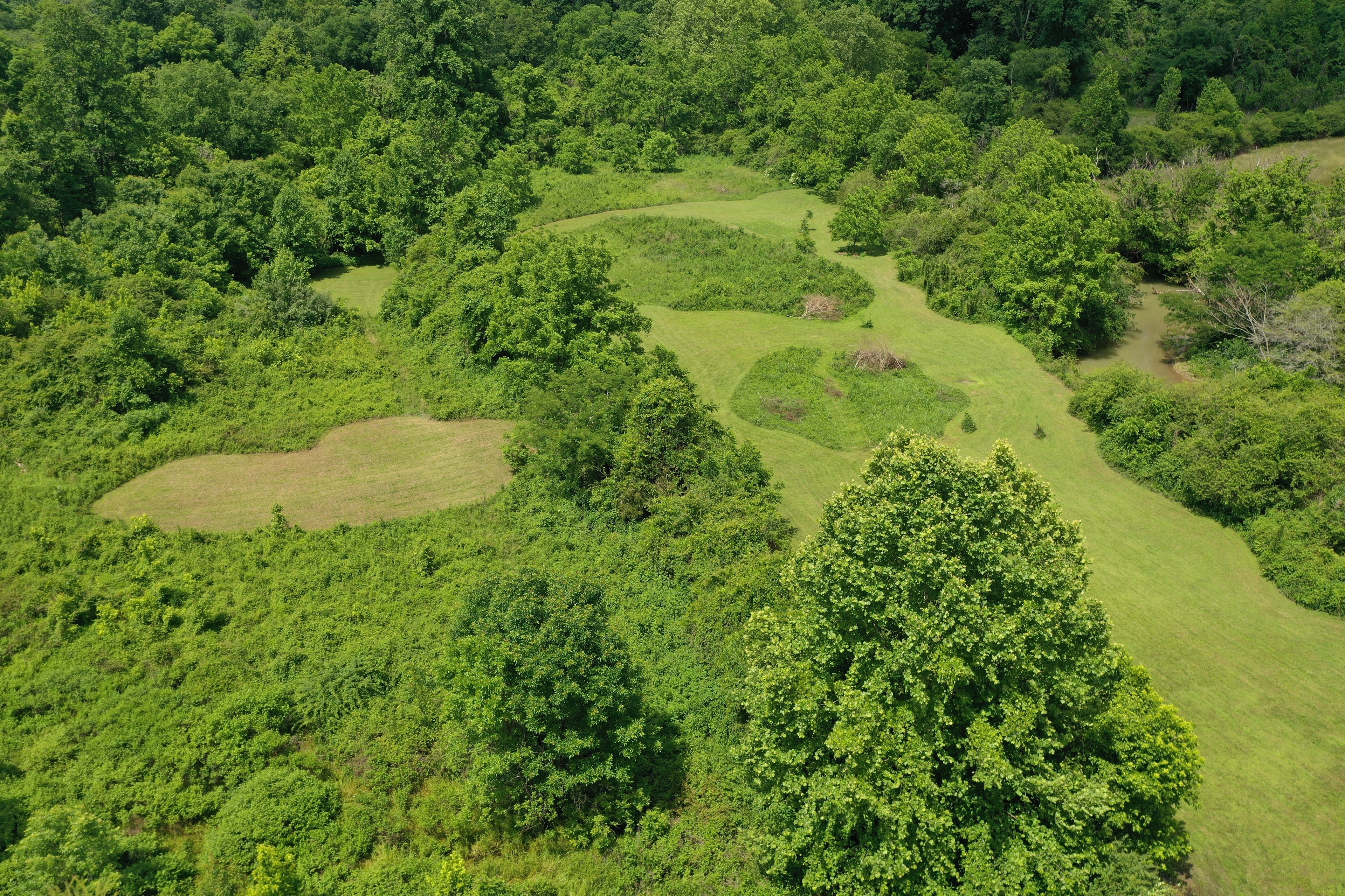 The Meadows at Poplar Creek