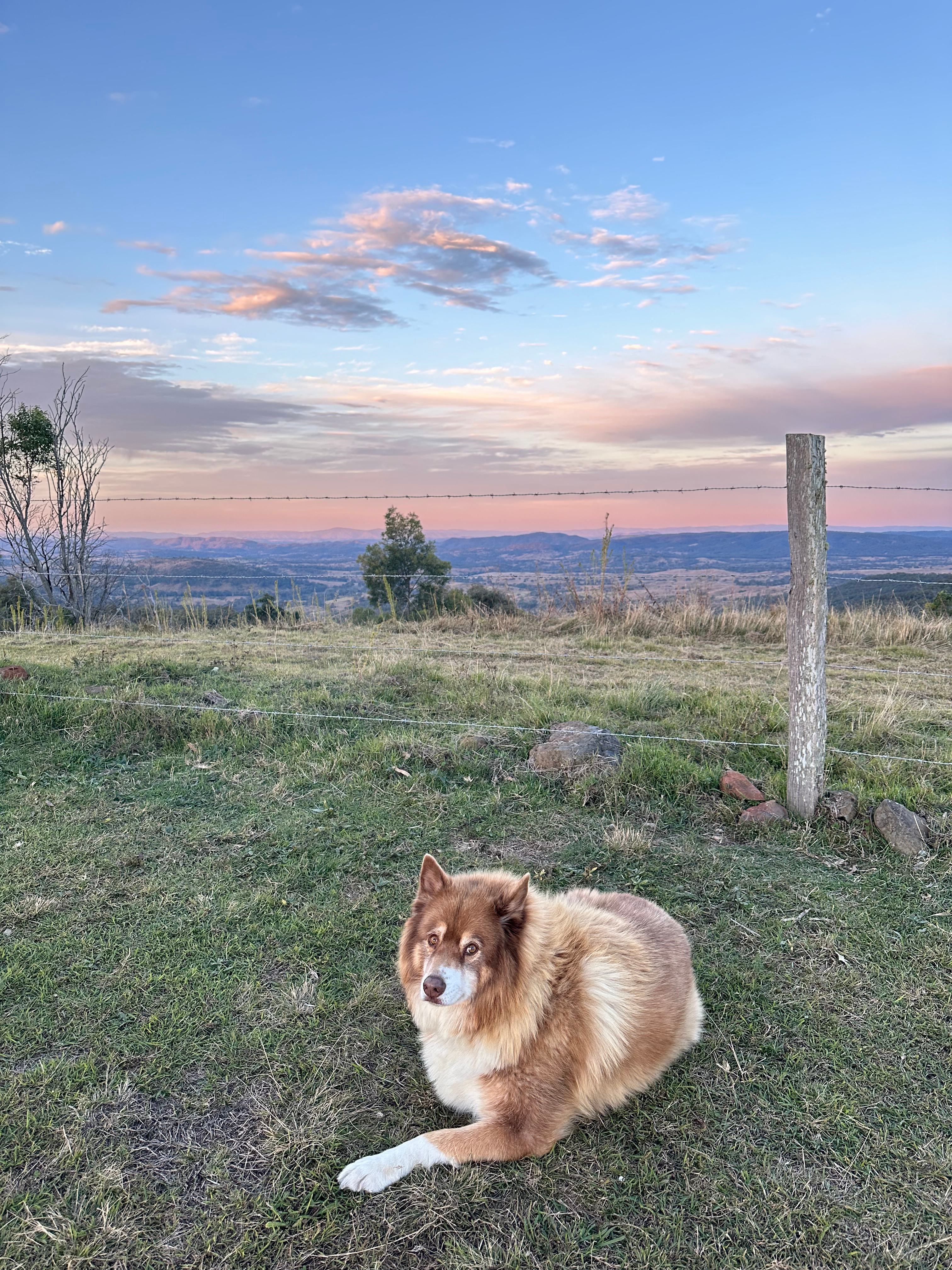 Hilltop Farm, Camping and Glamping.