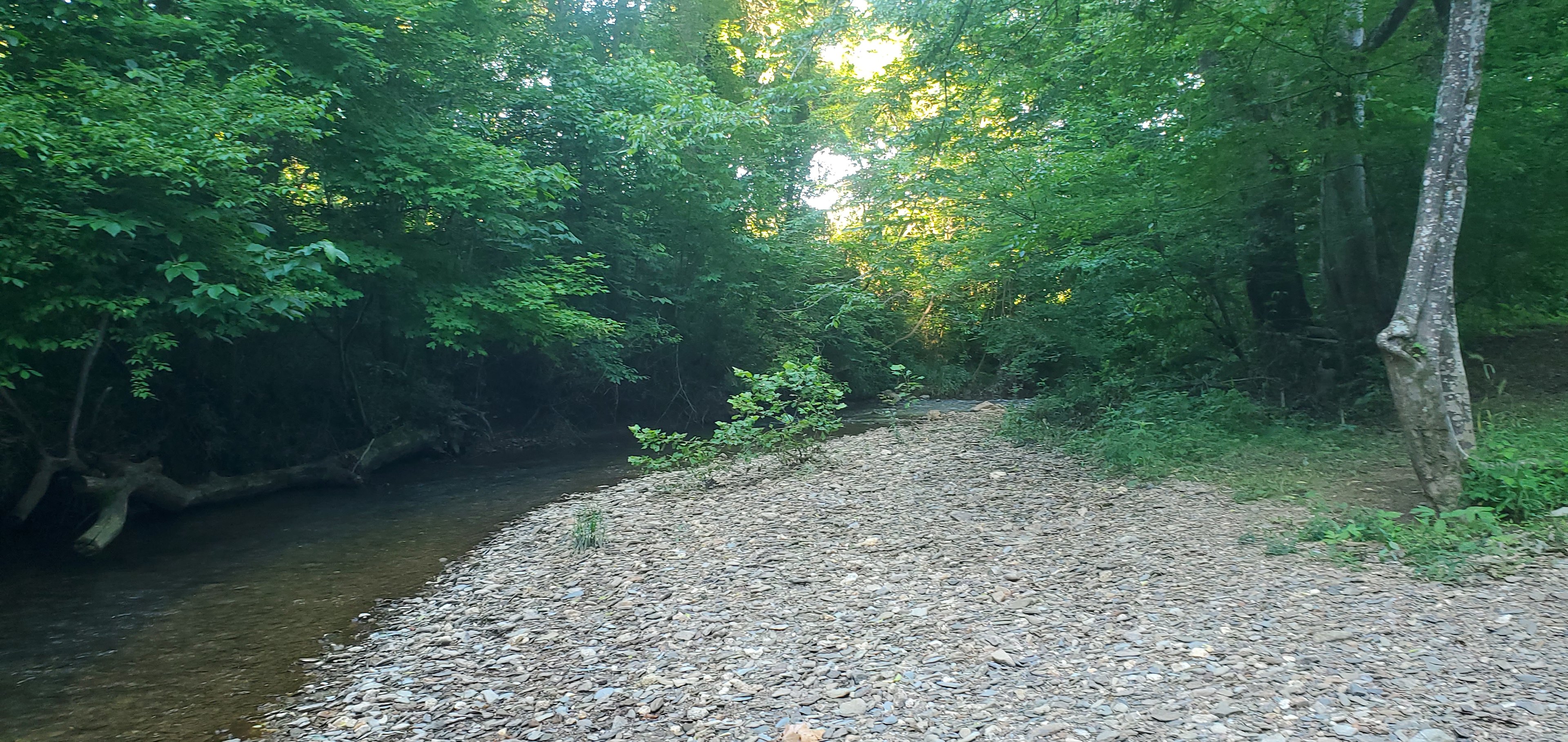 Shaded Creek RV Hookups