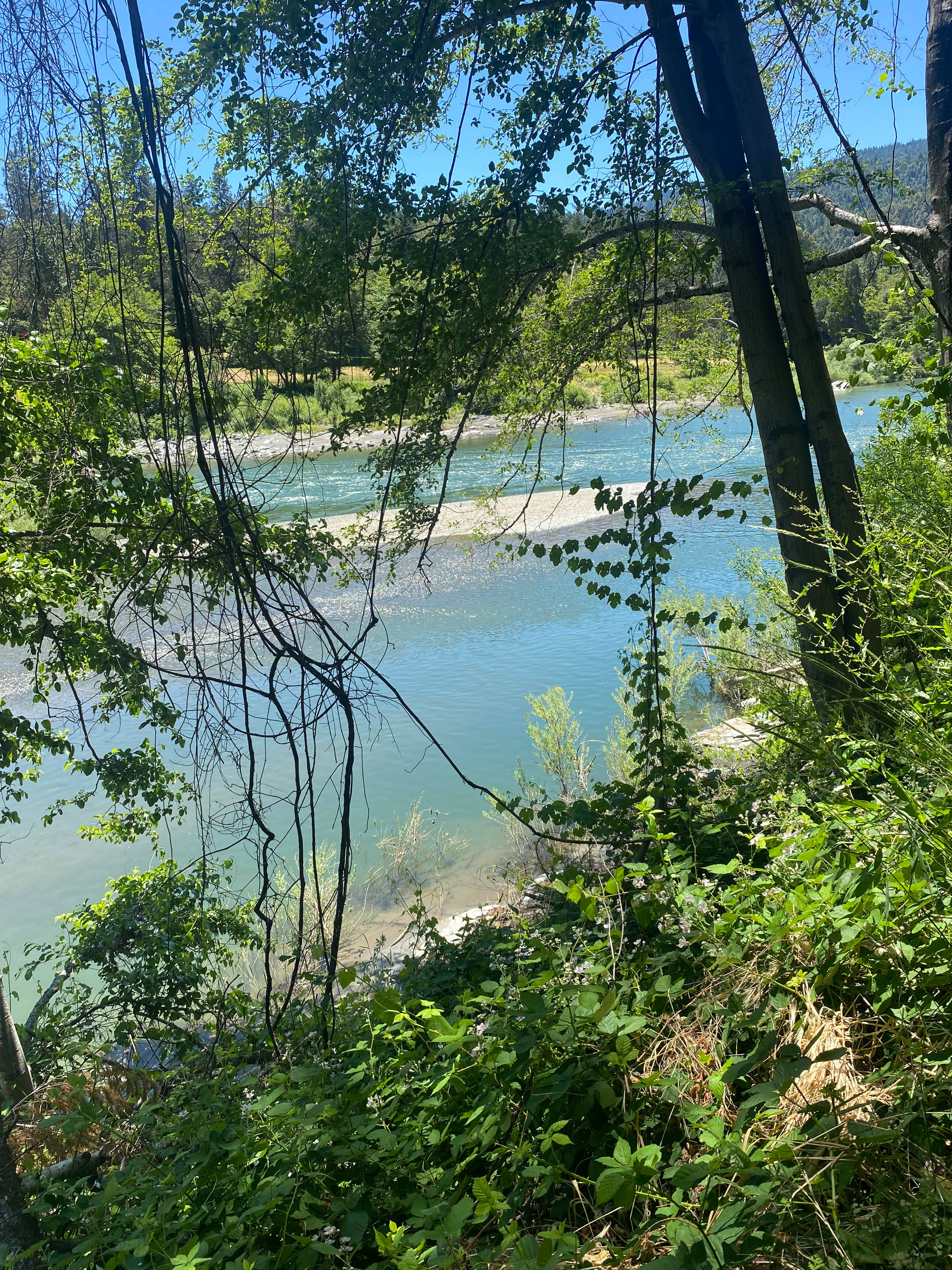 Perch Riverview Glamping