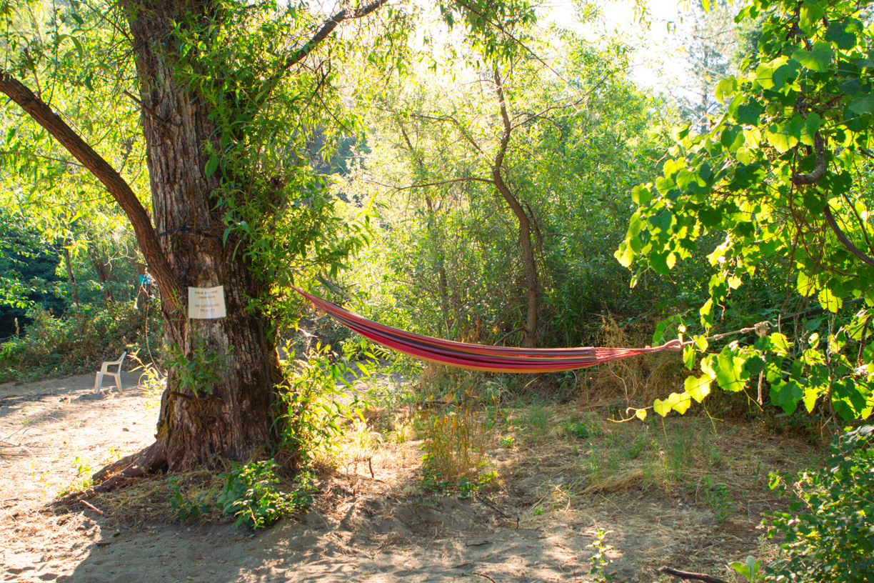 relax in the hammock