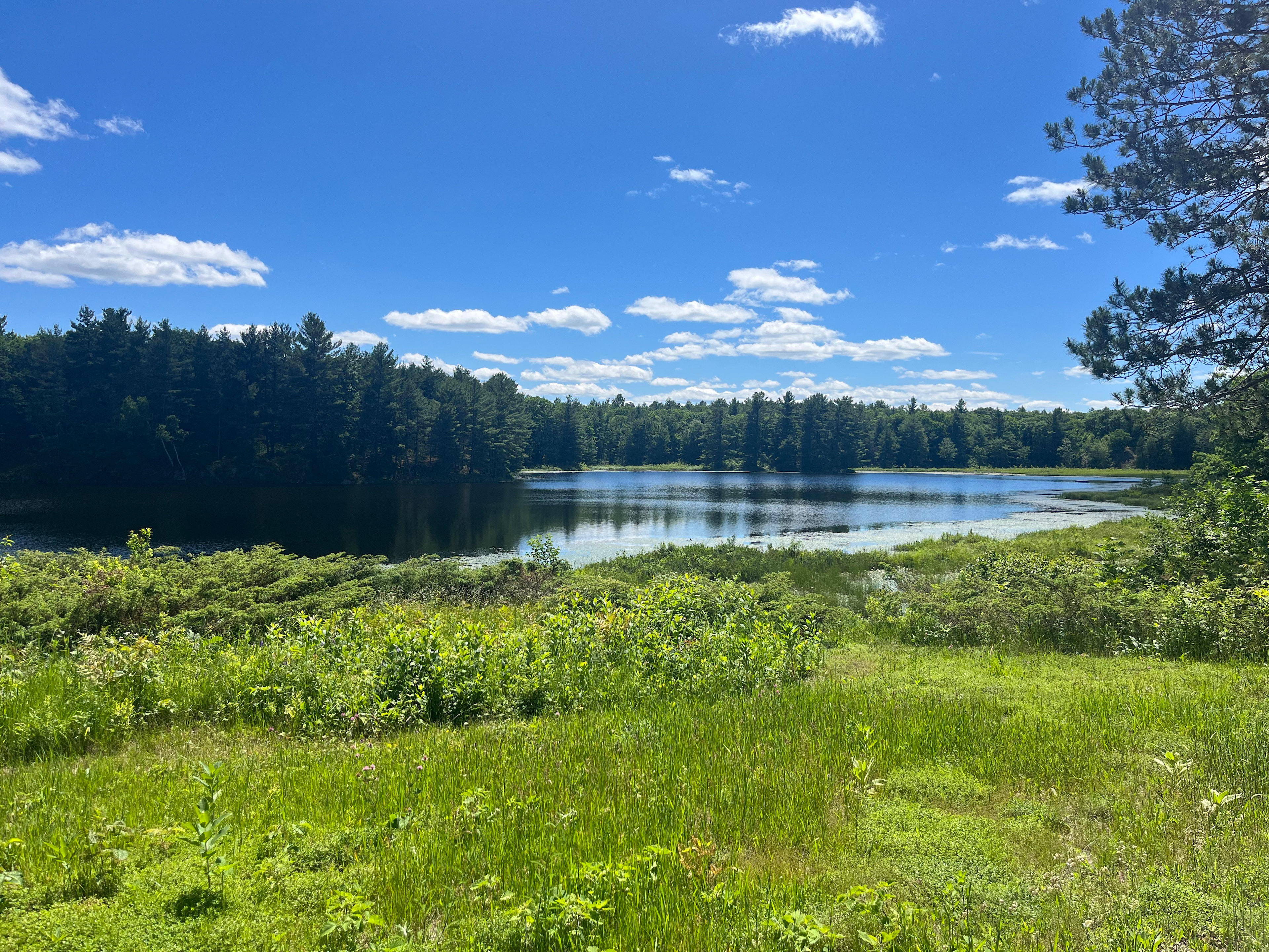 Wilderness Trails At Sumac