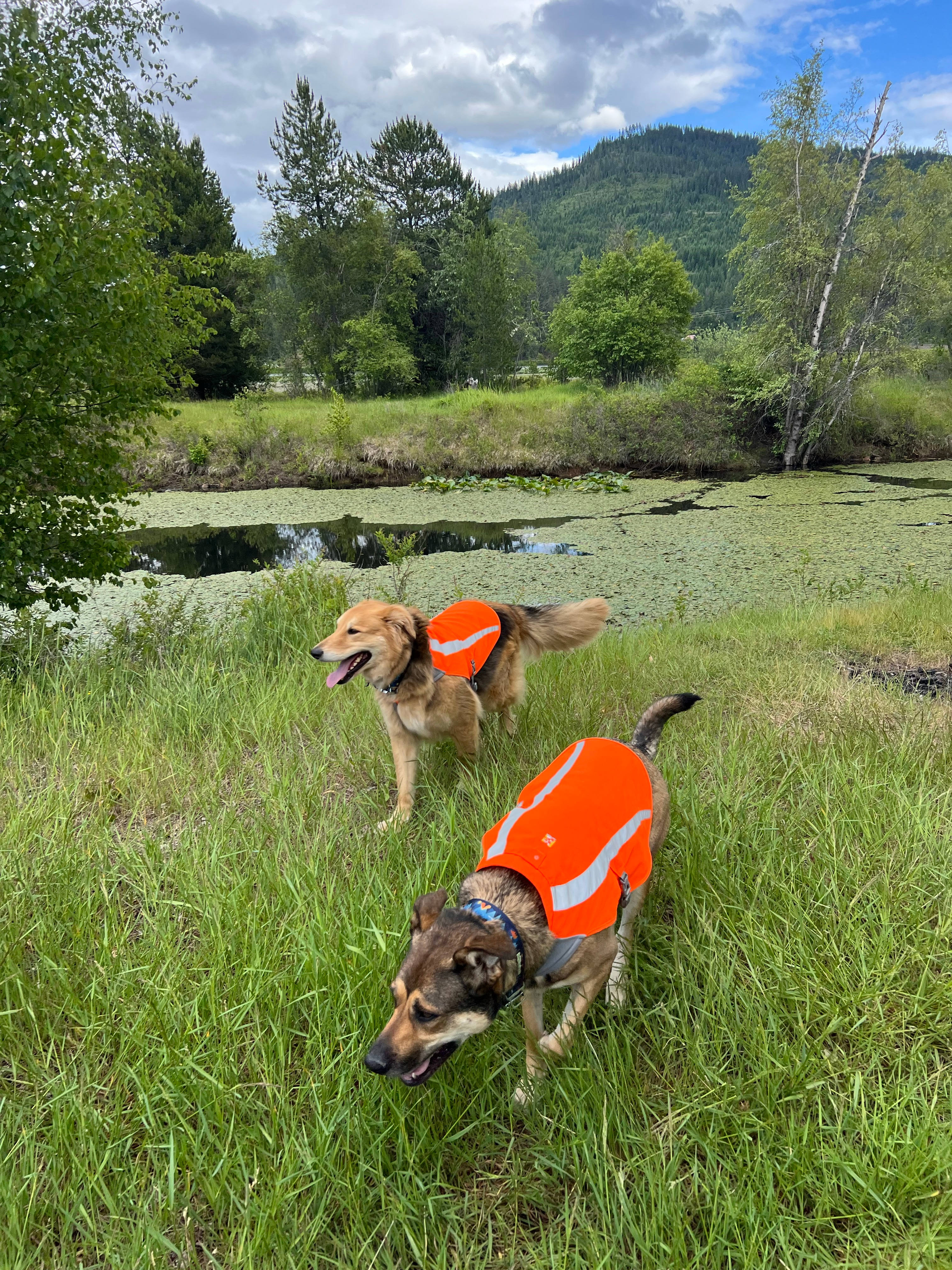Riverfront Base Camp