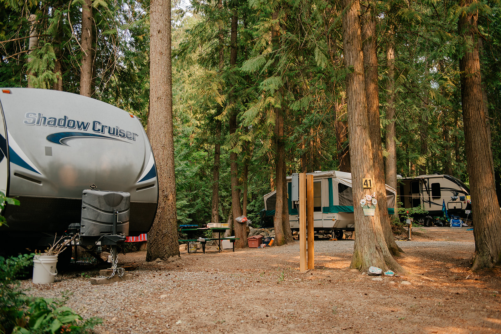 Whispering Pines near Mara Lake