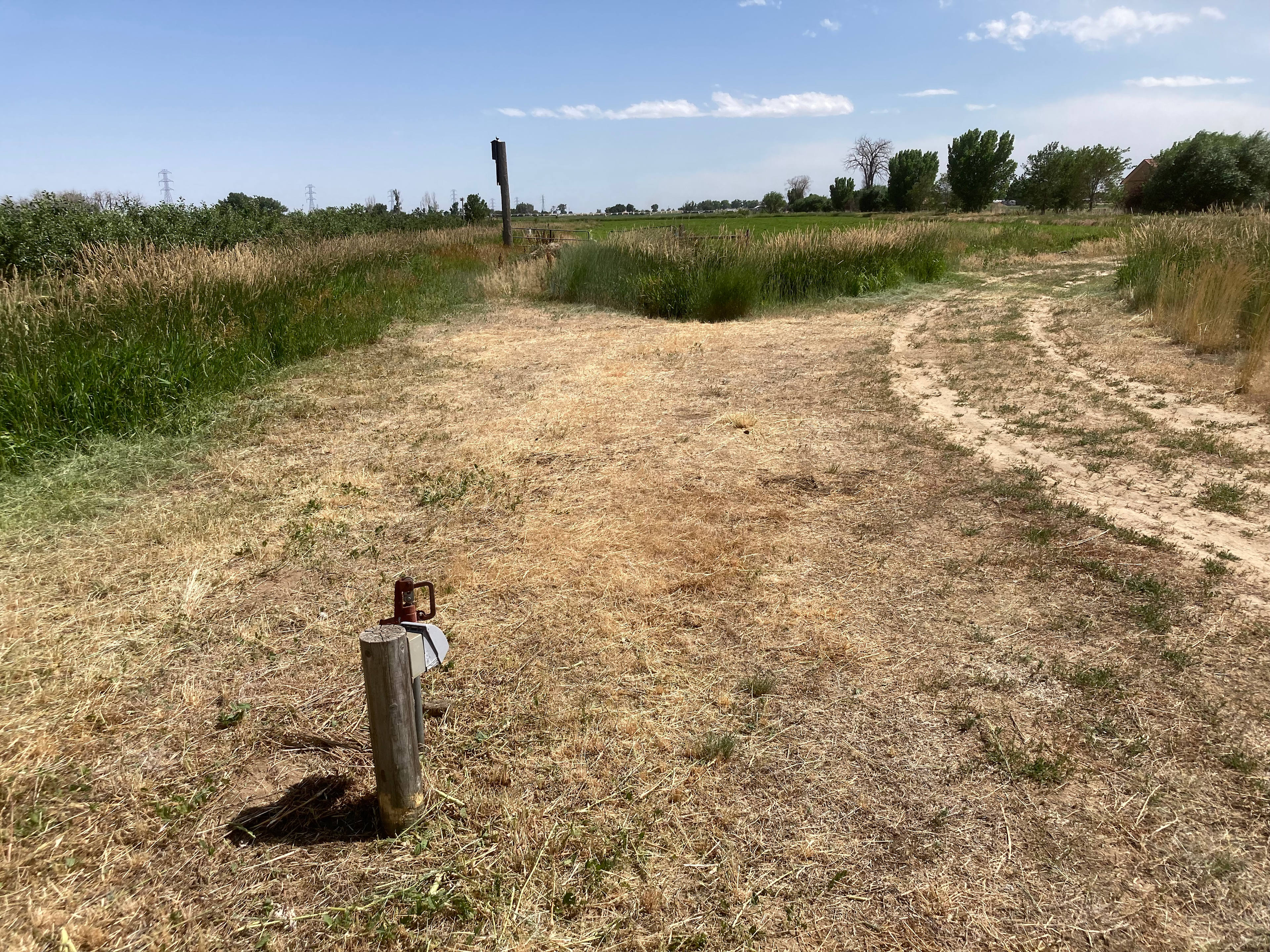 Rocking Martini Farm