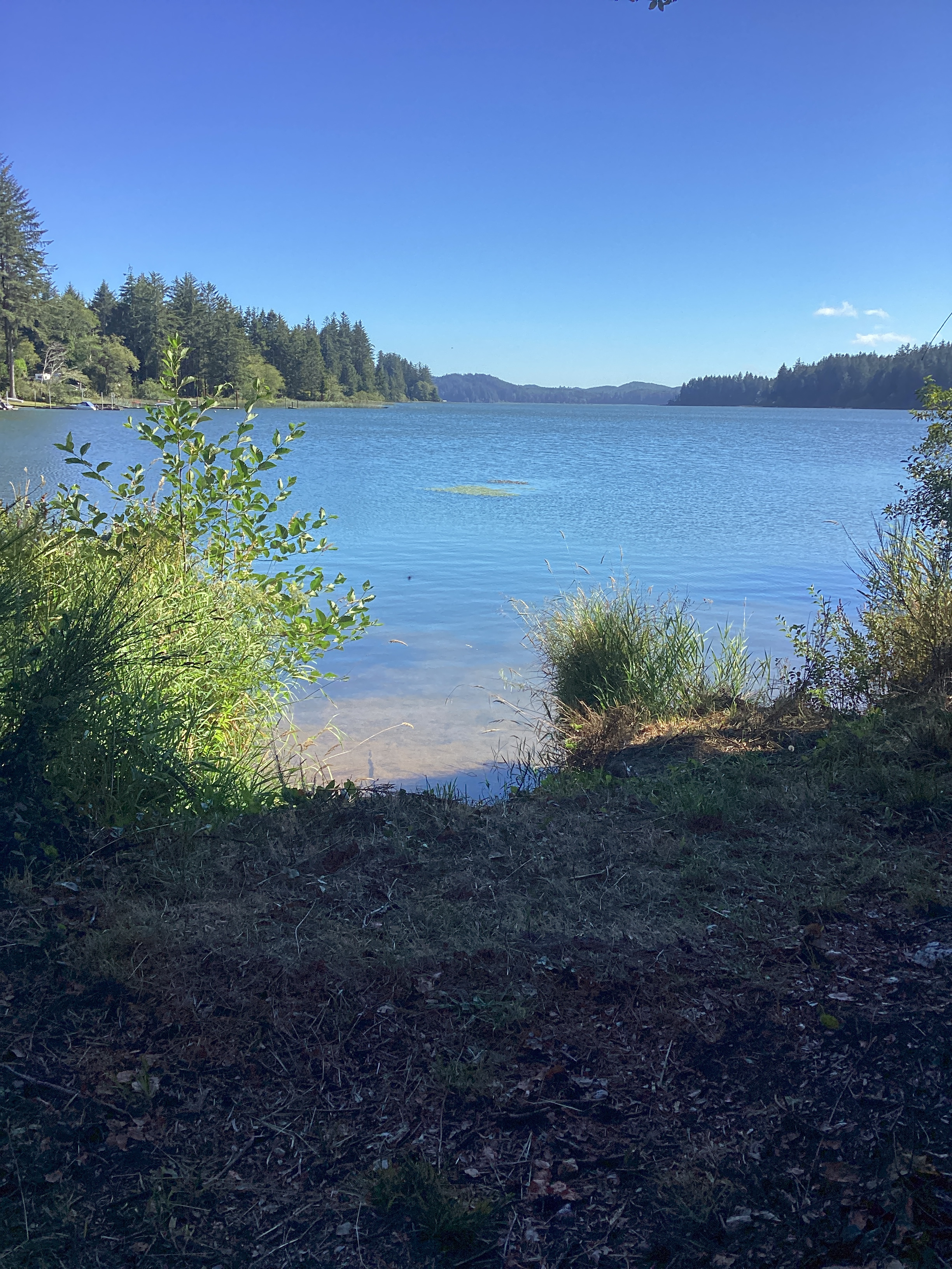 Siltcoos Cove - salmon are in!