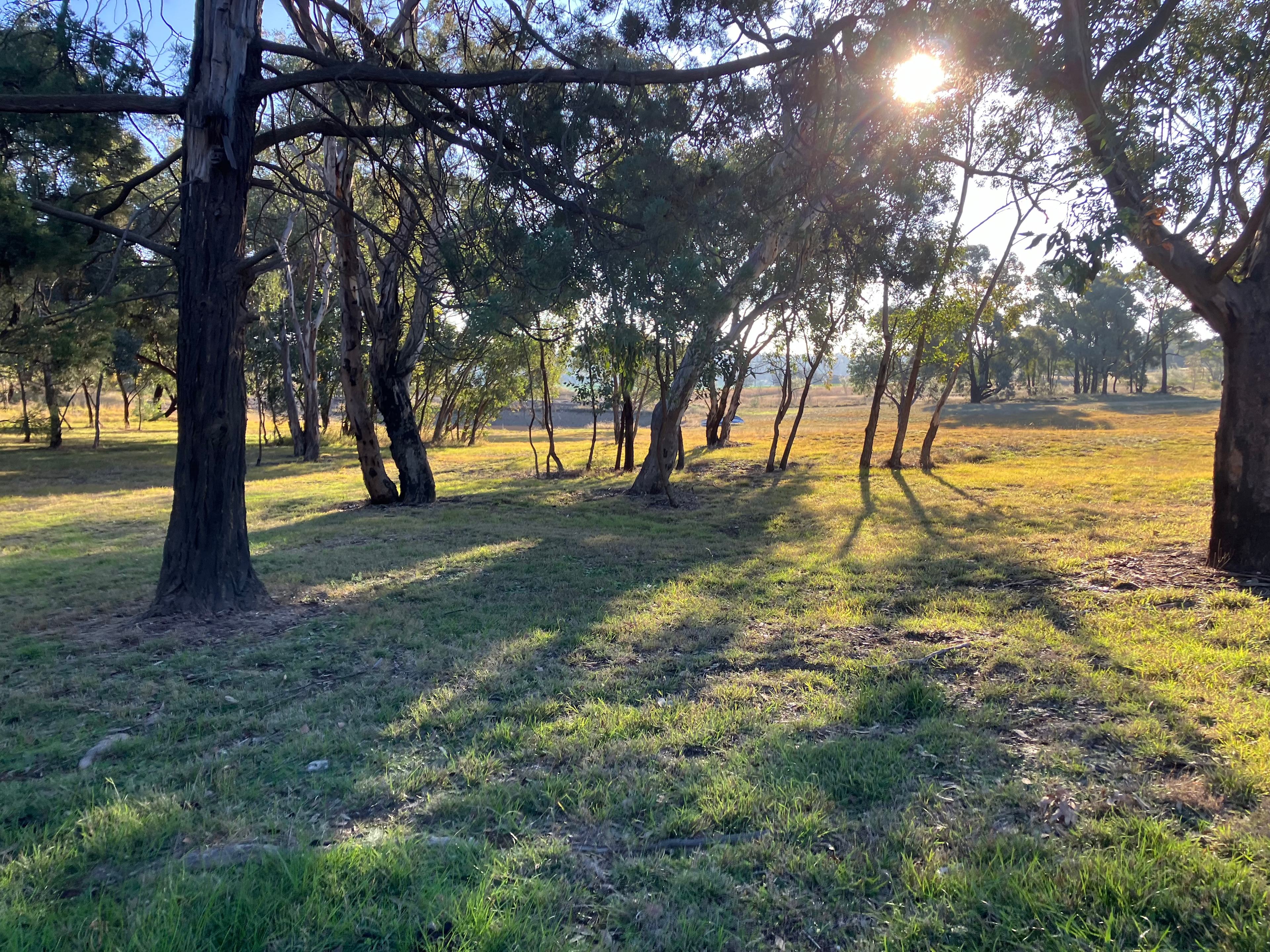Serendipity Campground