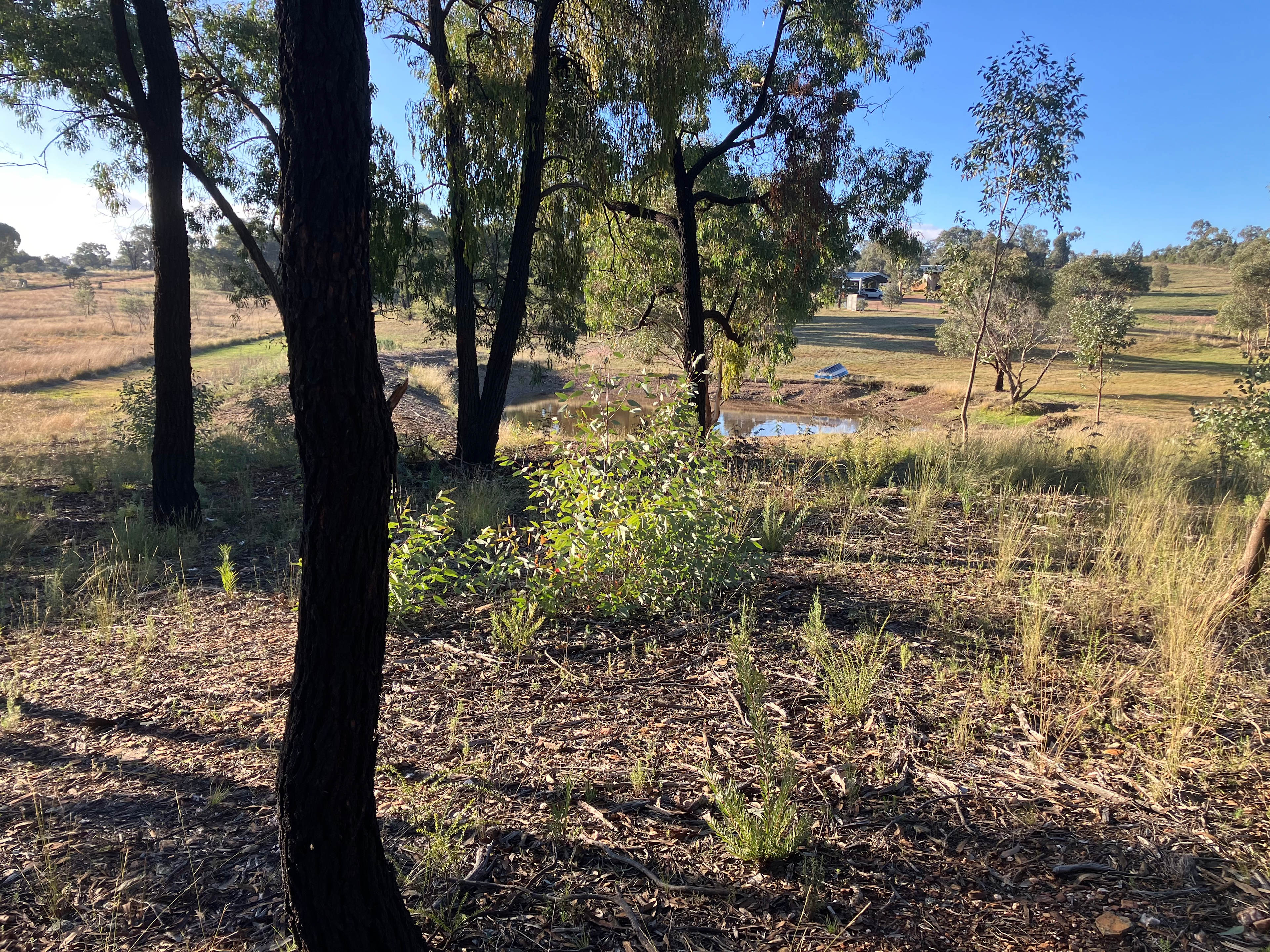 Serendipity Campground