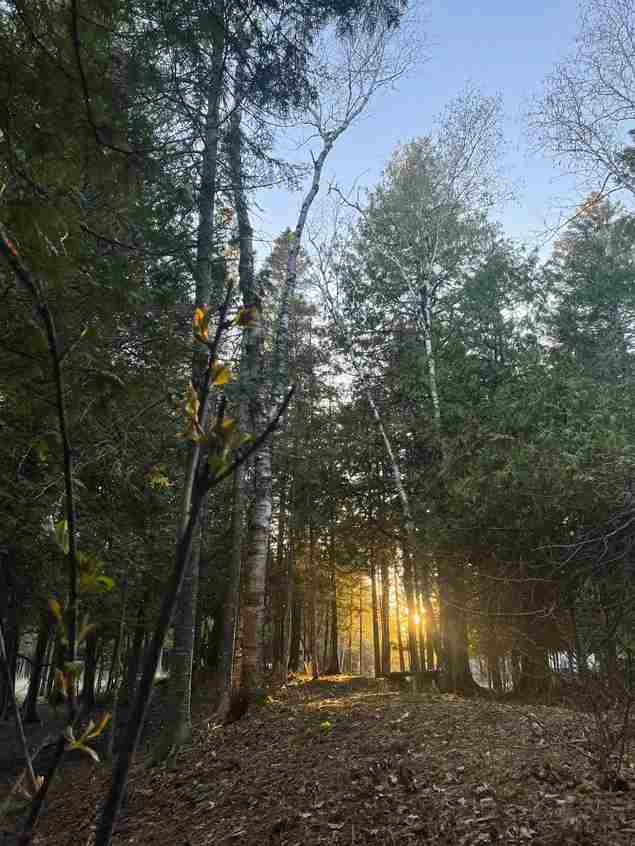 Island Yurts & Jasper Moss Retreat