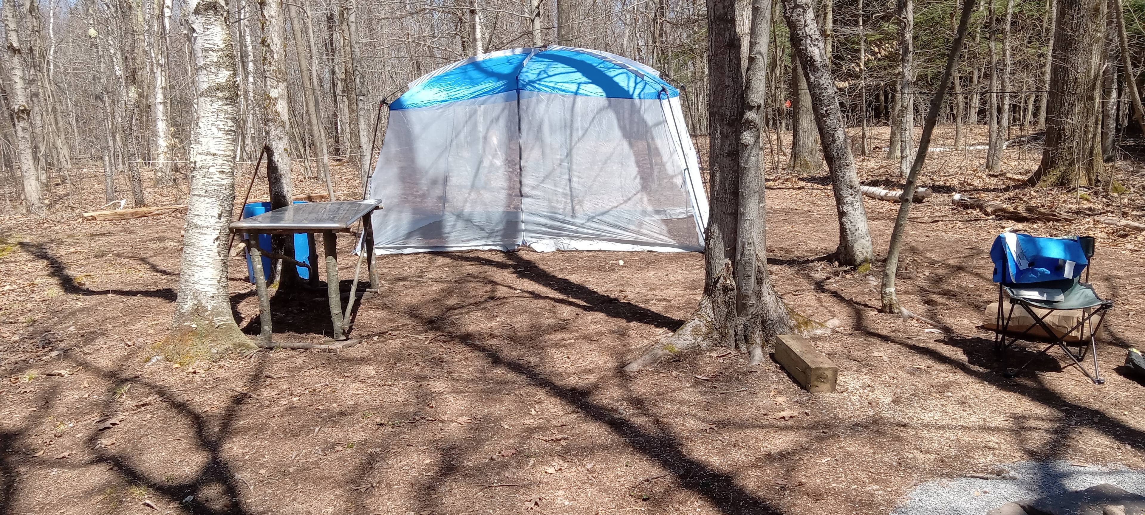 Triangle Lake Campsites
