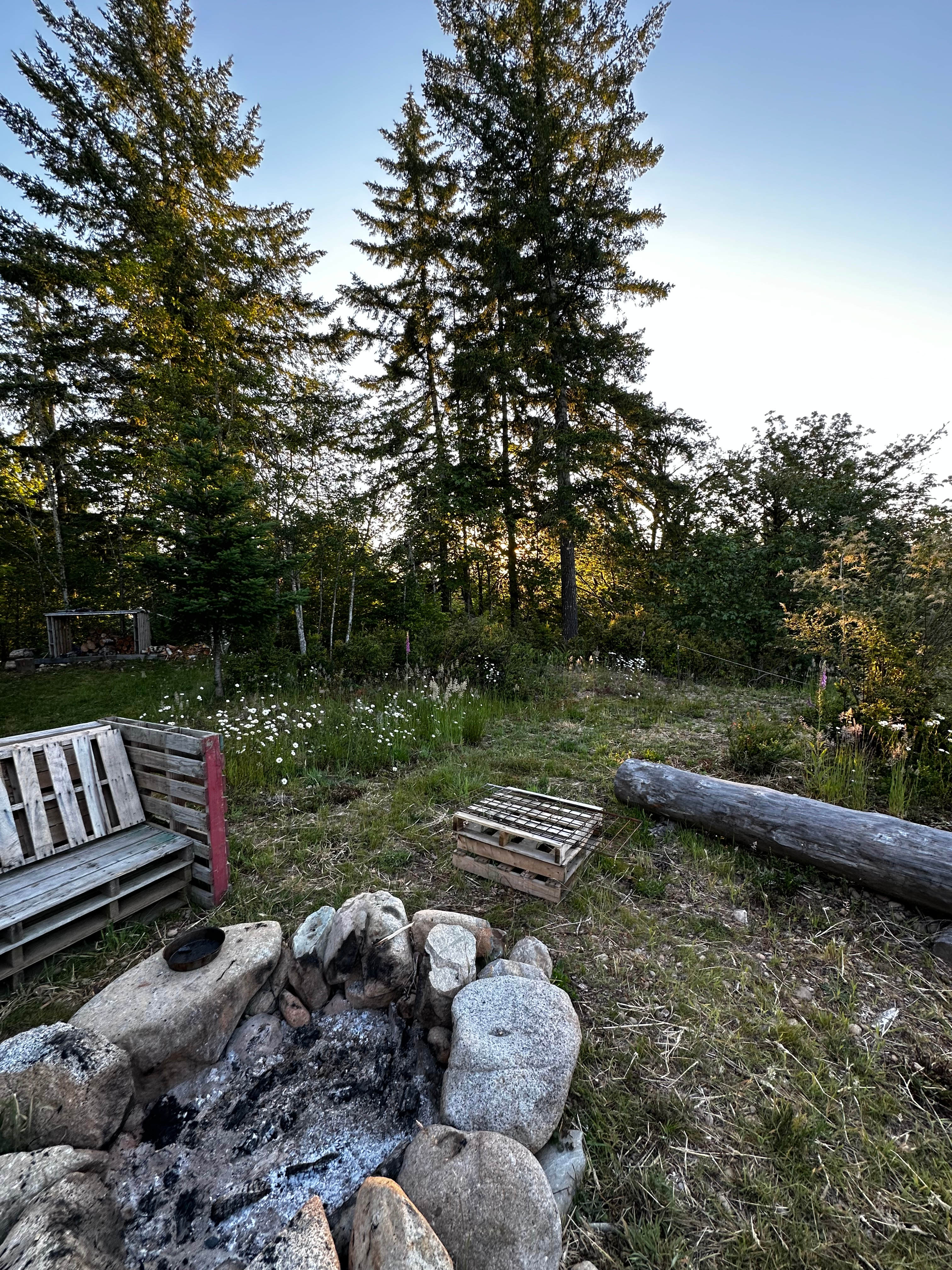 Christmas Tree Ridge