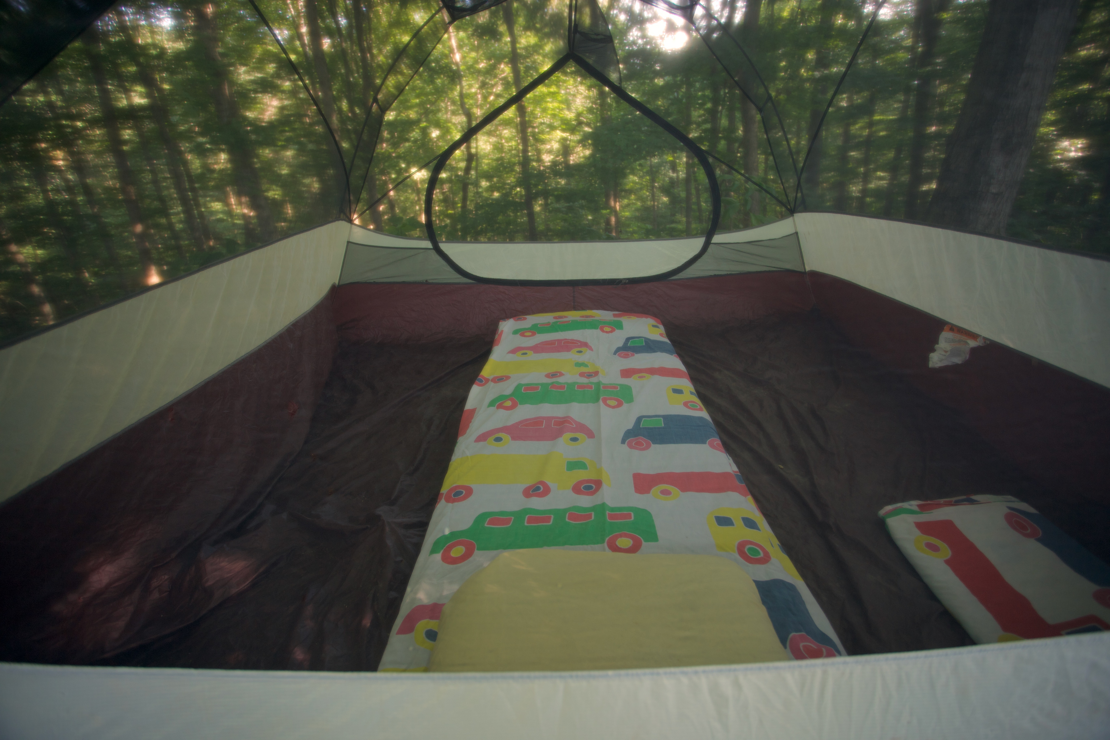 Beardsnest Camping and Kayaking