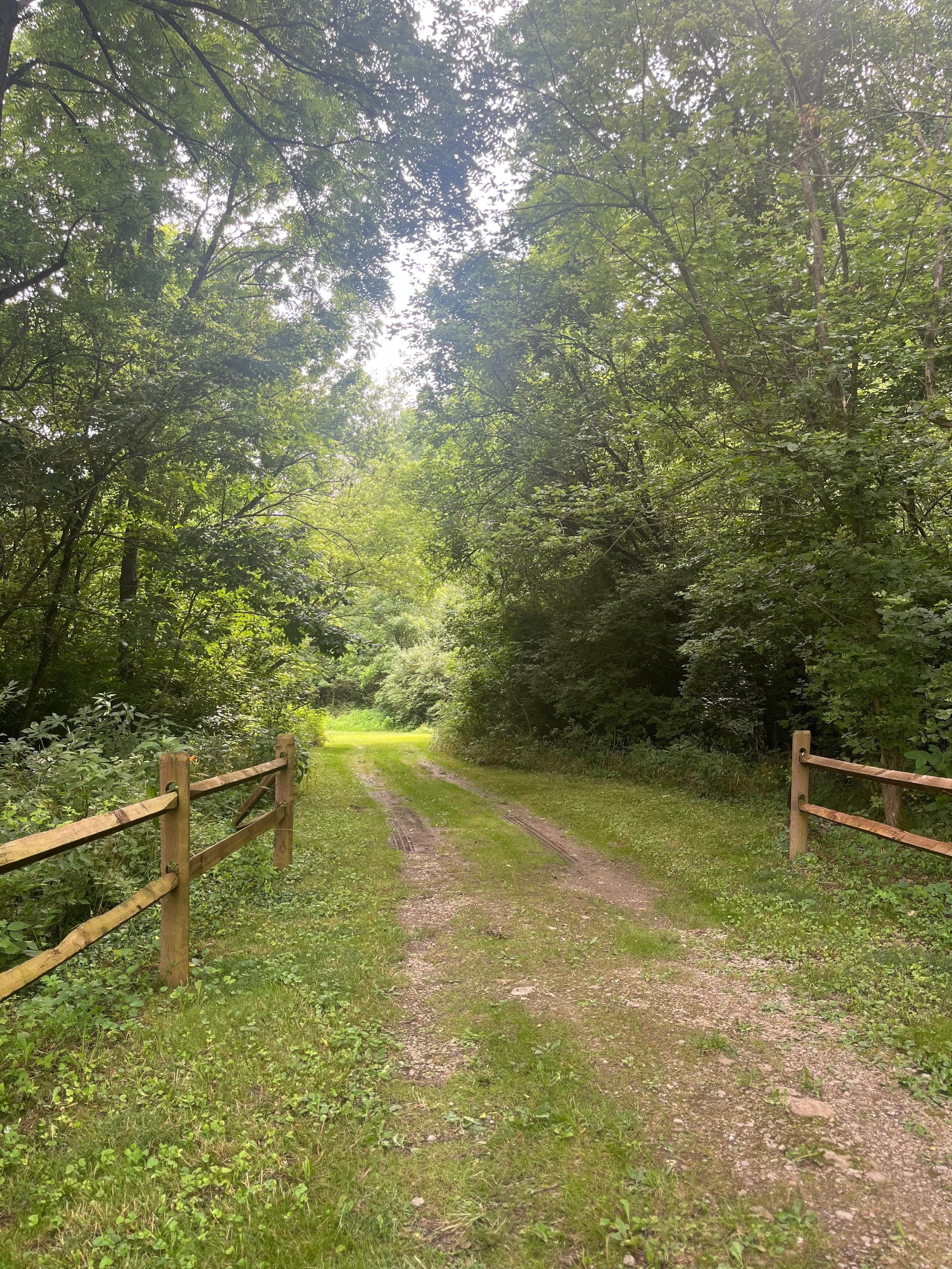 Cabin and Tent Camping On The River