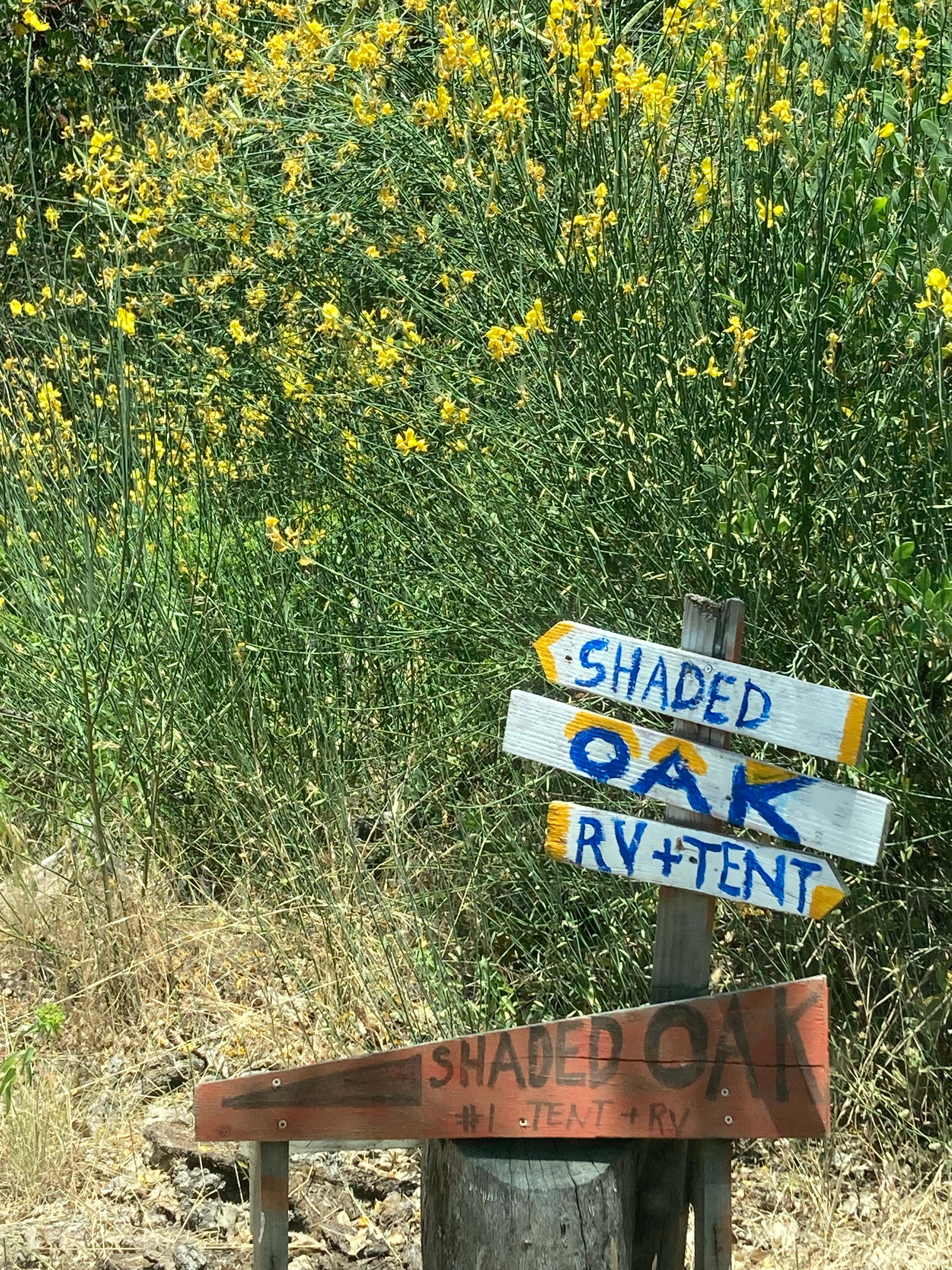 Dylan's Ranch at Whaleback Ridge