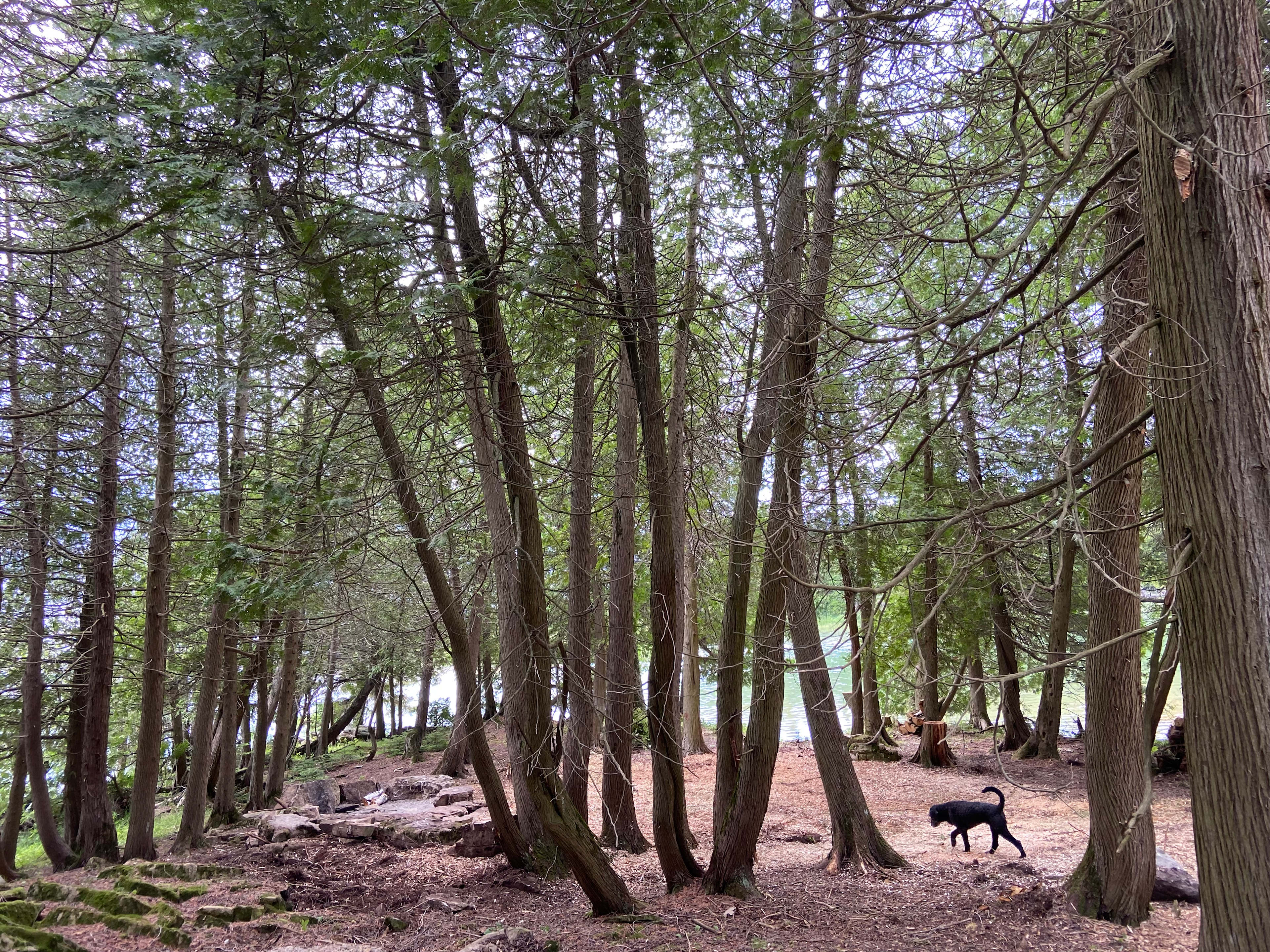 Lakepoint Lodging and Camping