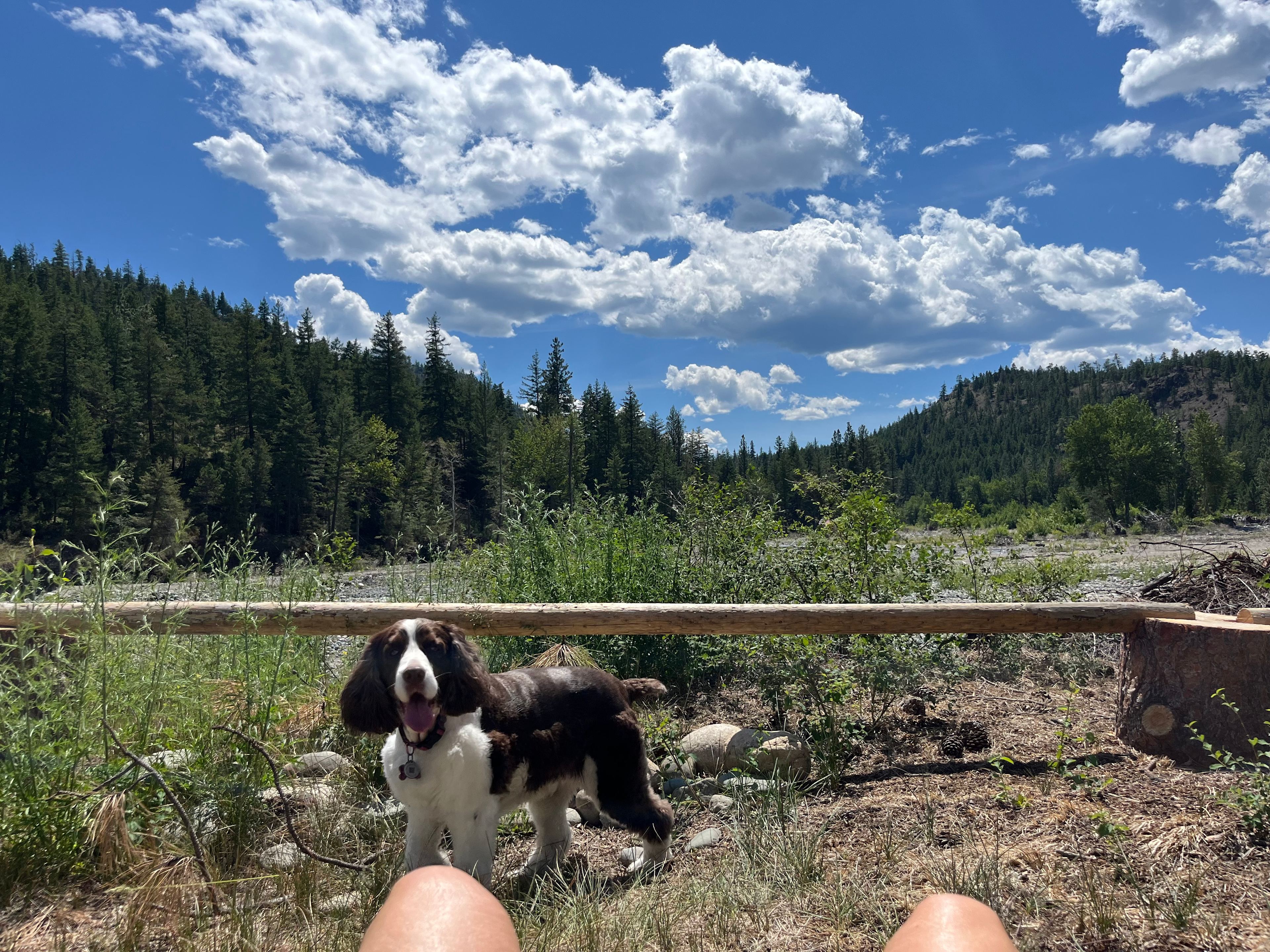 Firkin Riverside Camp Retreat