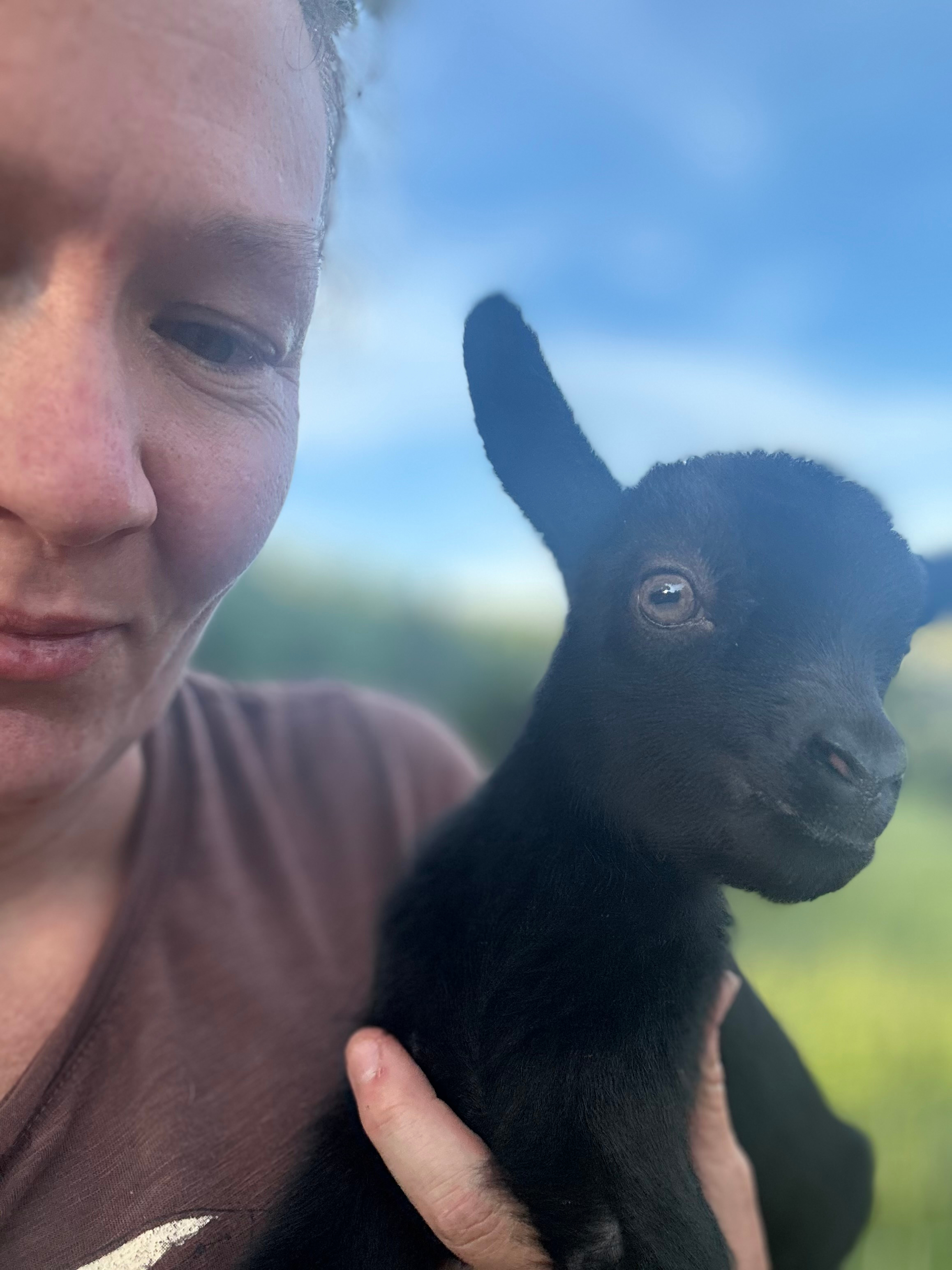 Misfit Acres at Kind Rebellion Farm