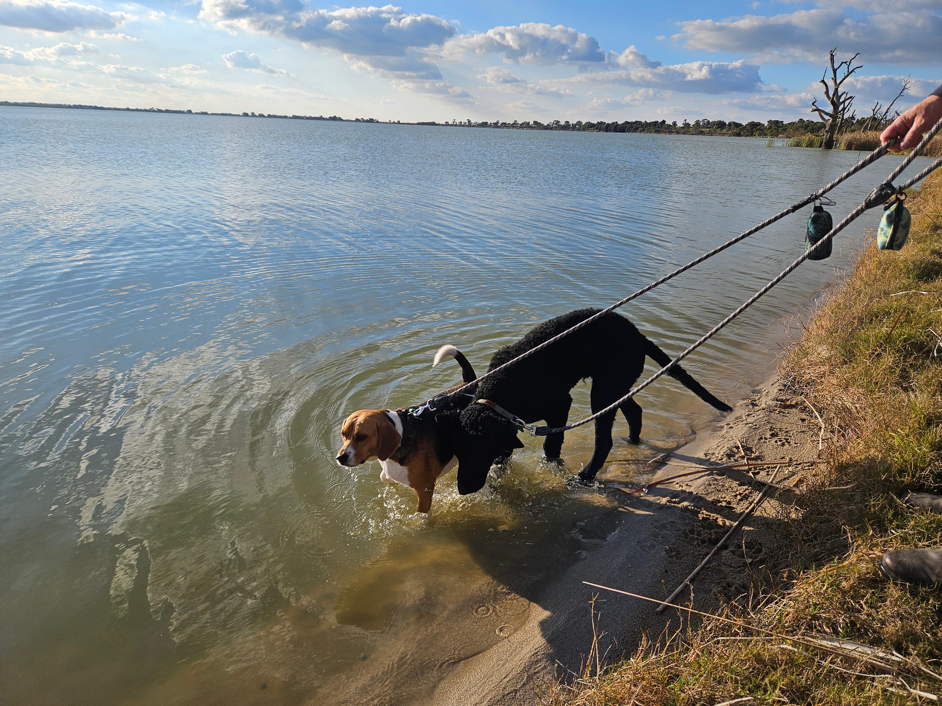 Williams Hill Lake Charm vic 3581