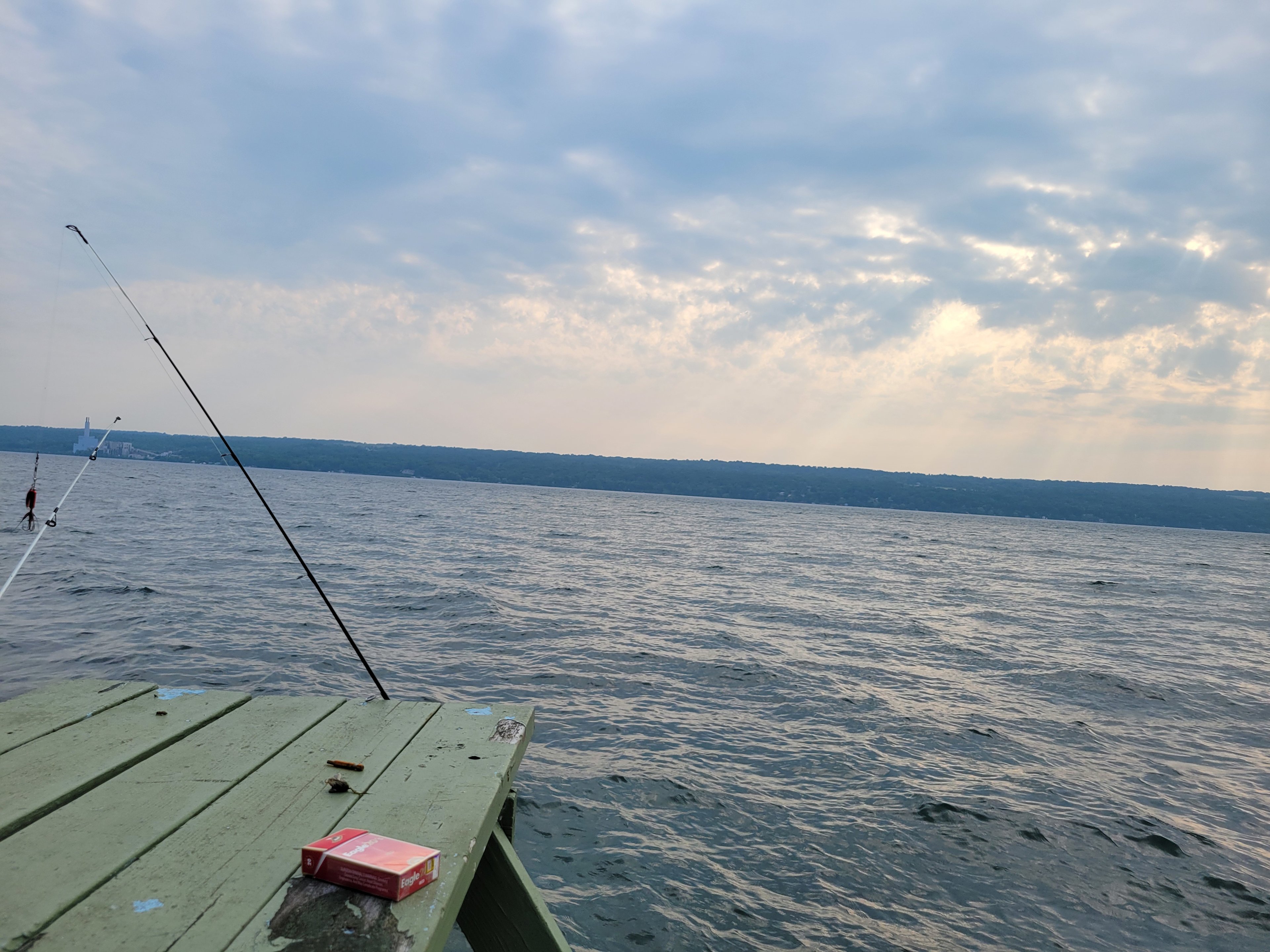 The Spotted Sandpiper
