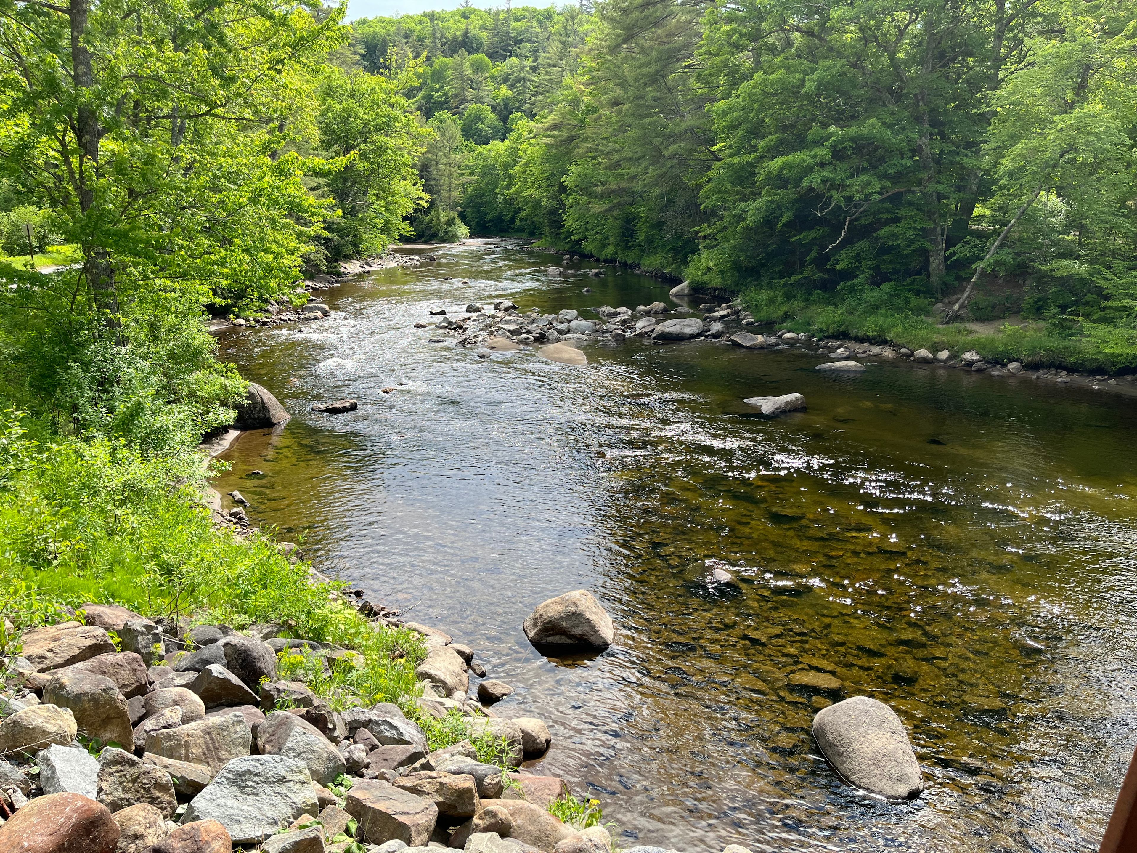 Keene: White Pine Camp Sites