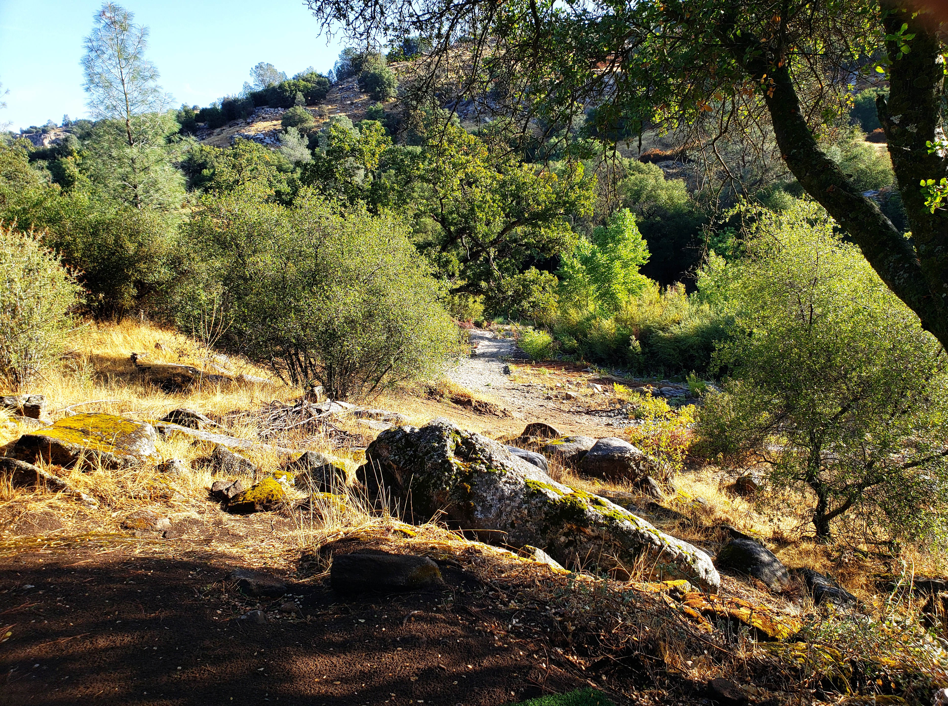 Glitter Cove Retreat