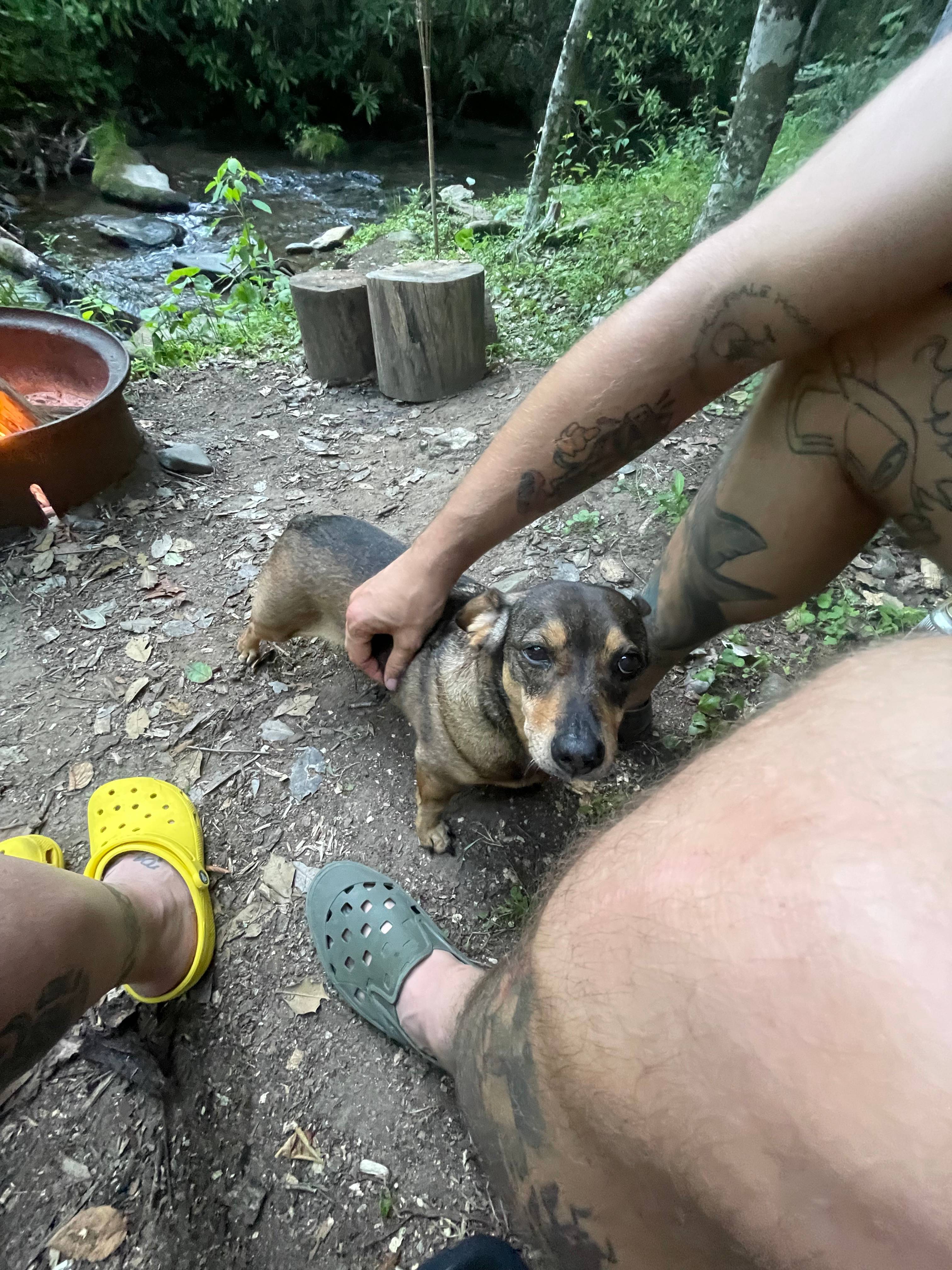 Rock bottom creekside campground