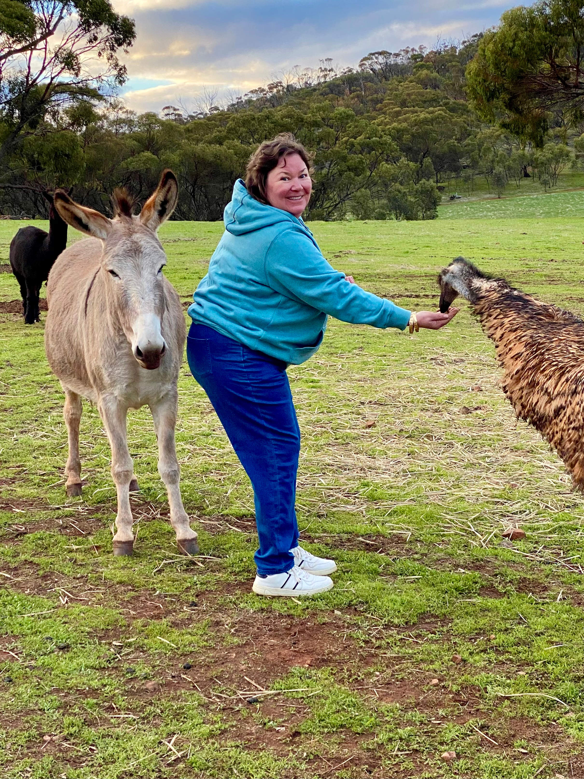 Sandalwood Downs  Farm Stay Toodyay