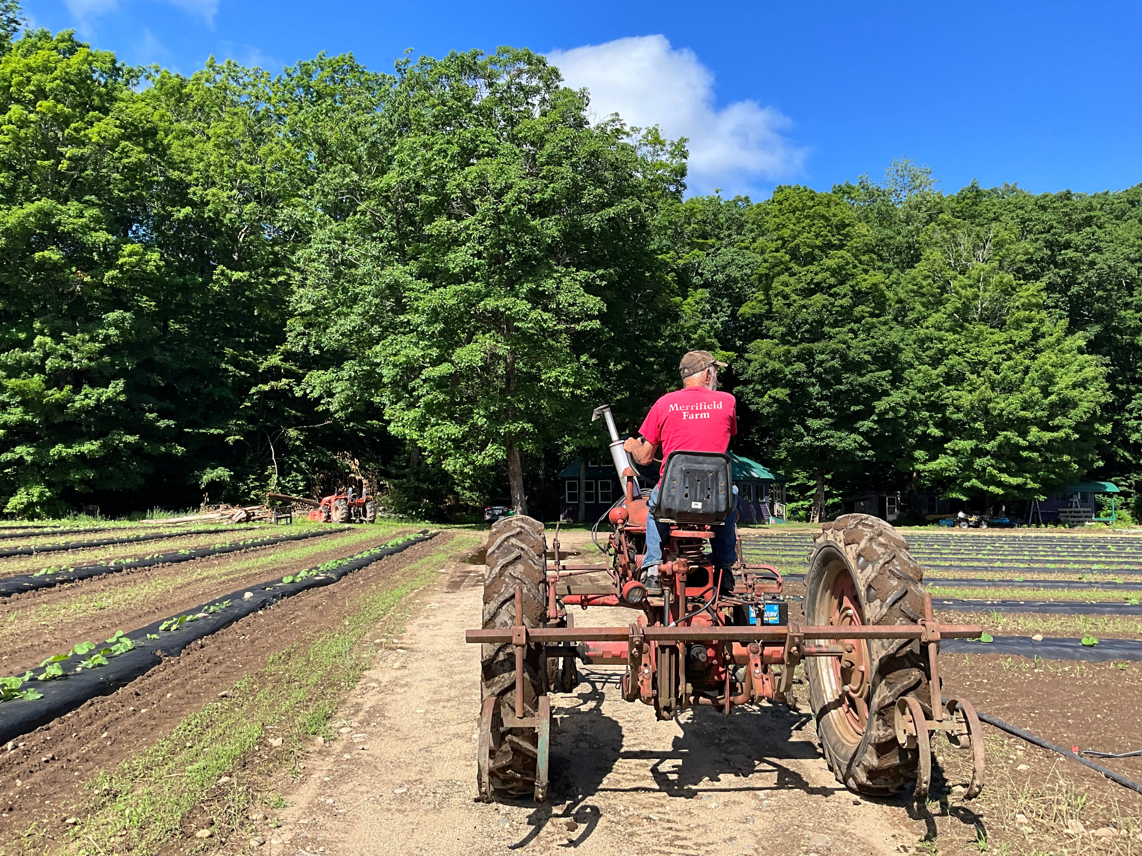 Hidden Brook At Merrifield Farm