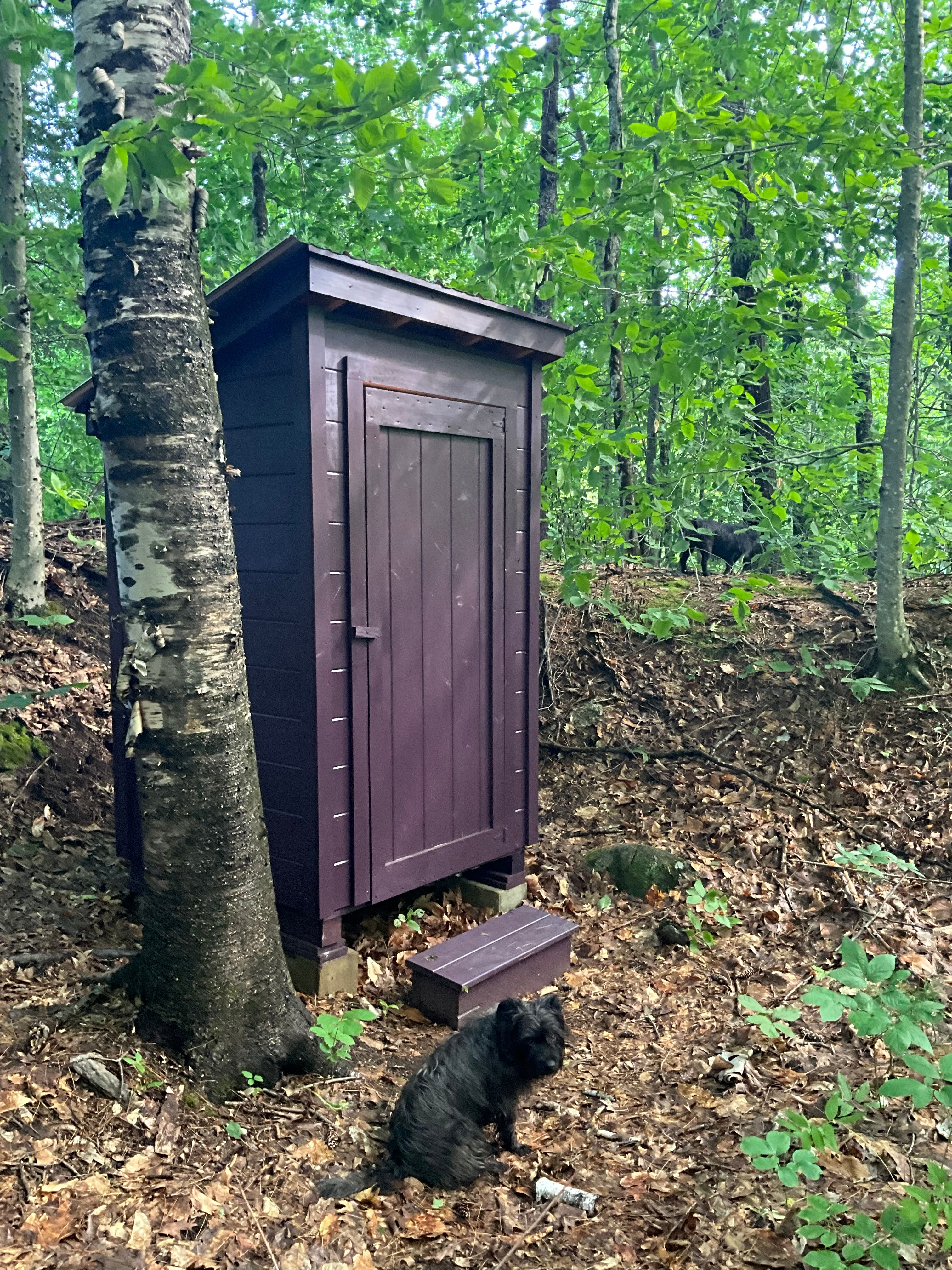 Hidden Brook At Merrifield Farm