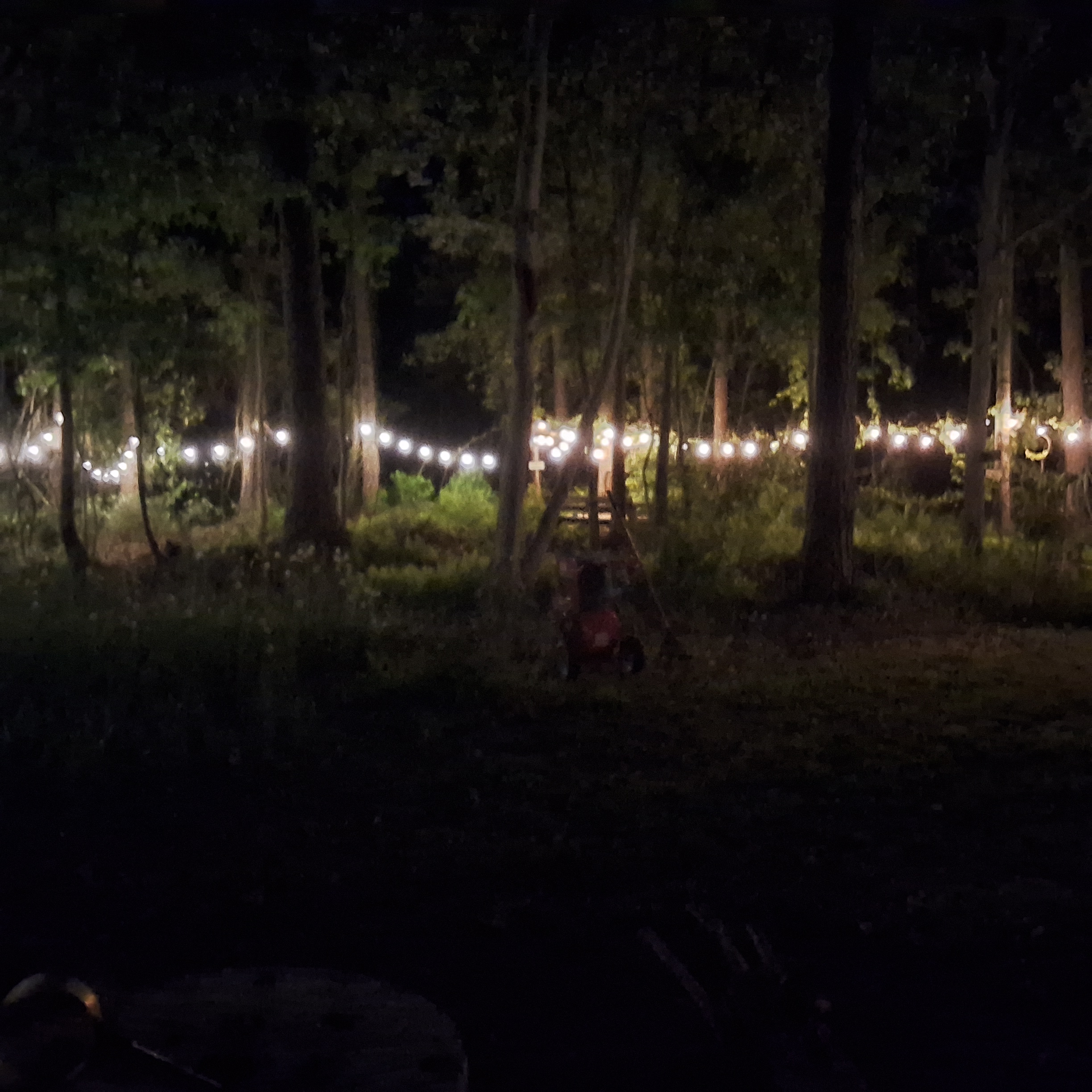 Malakai 🏕 different by design