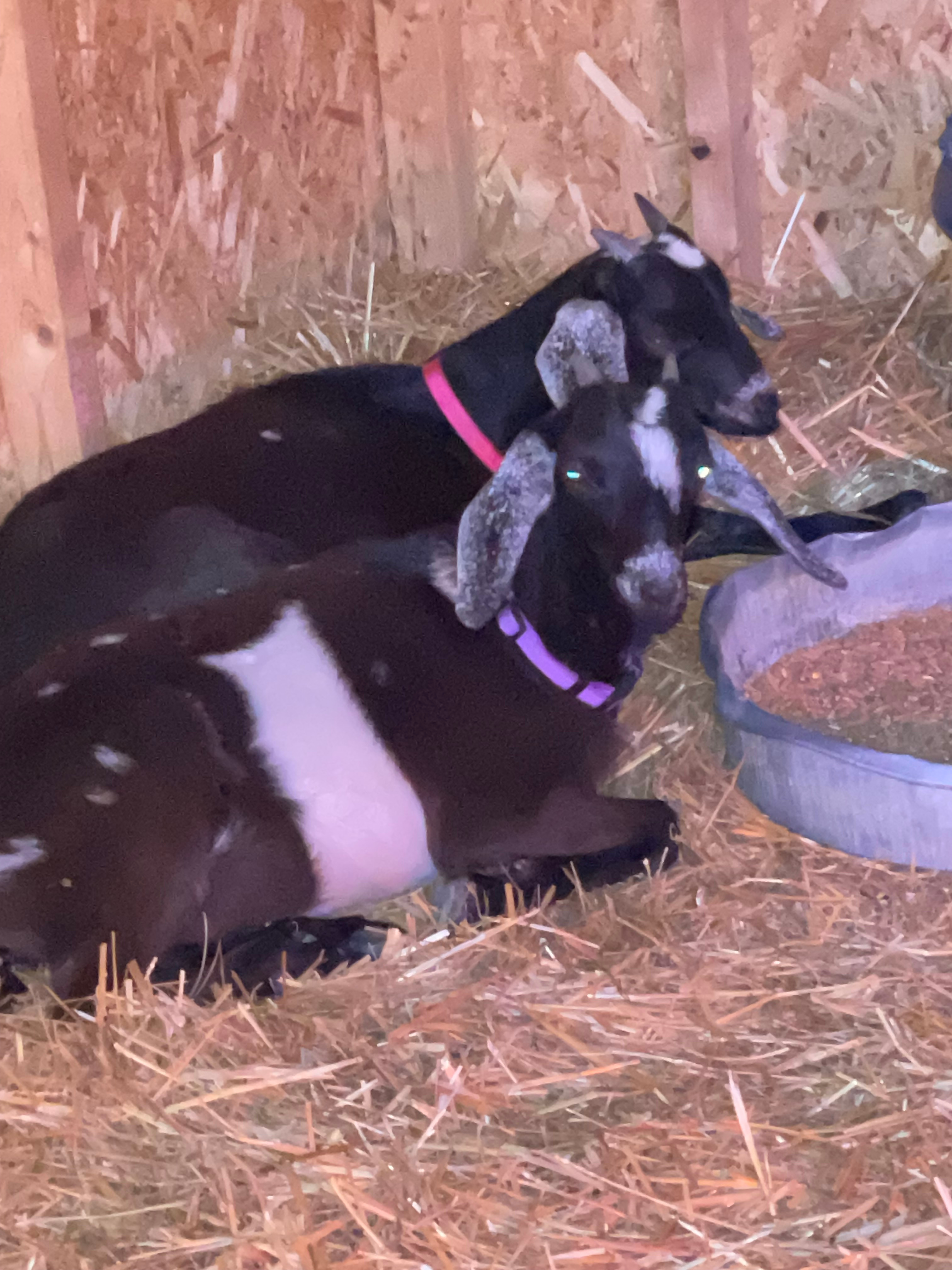 The Cleveland Winery