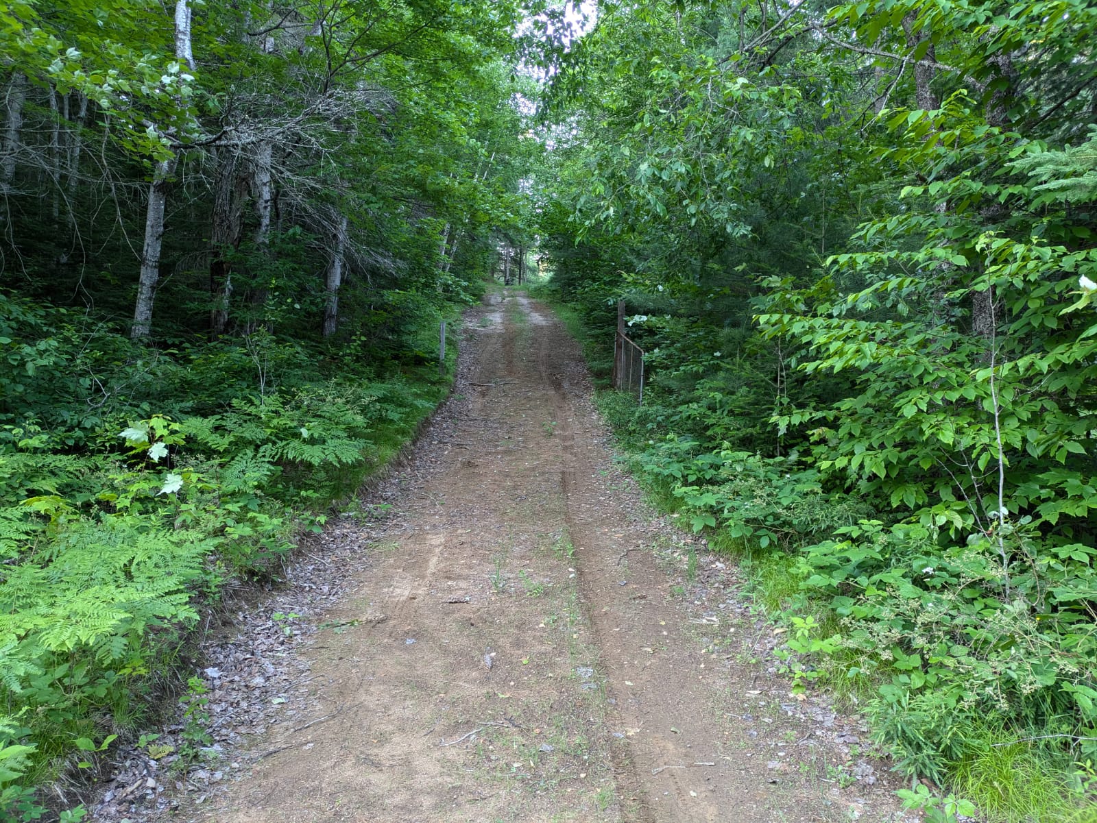 Laneway entrance.