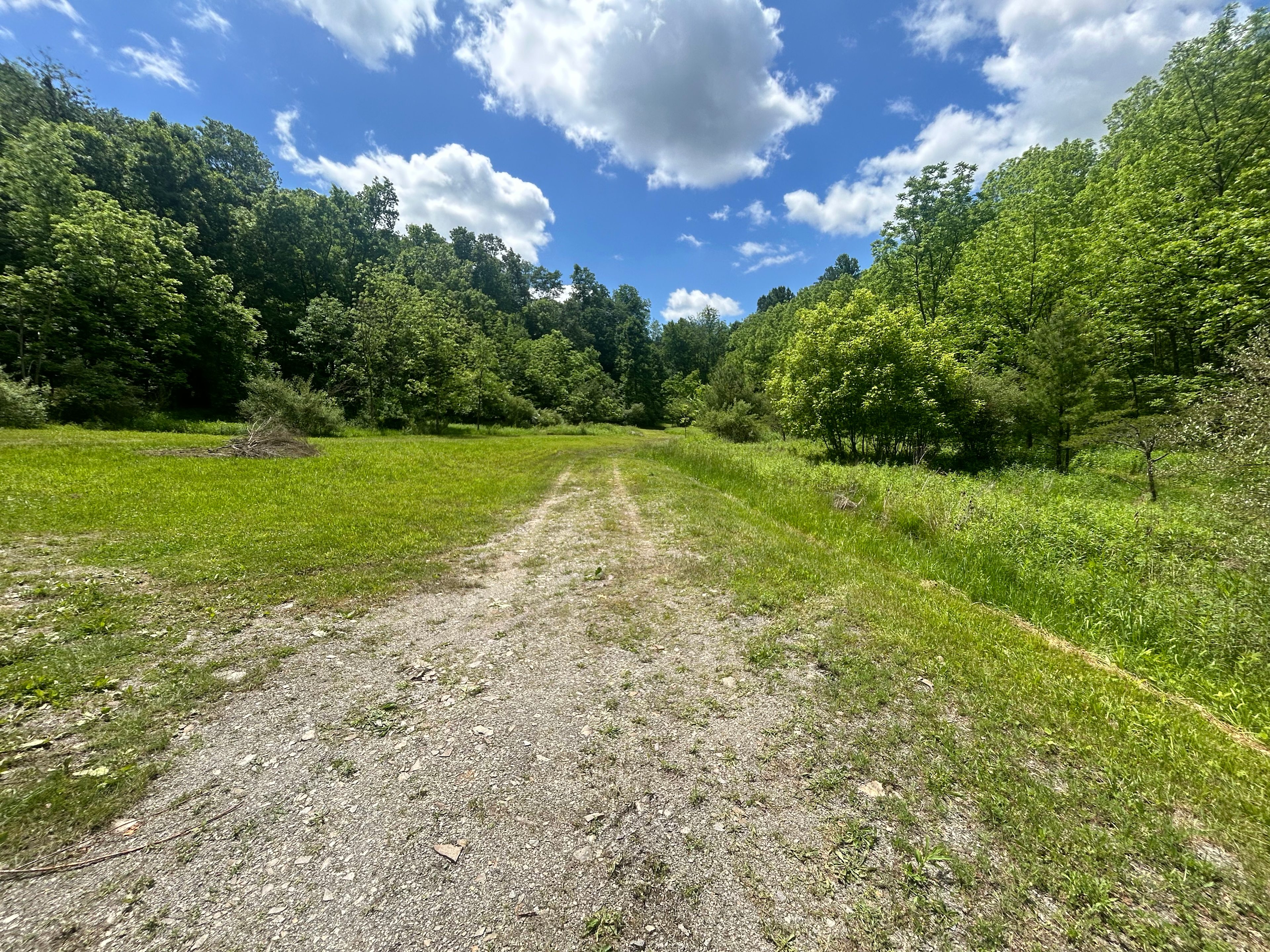 Wilson’s Boondock Hollow