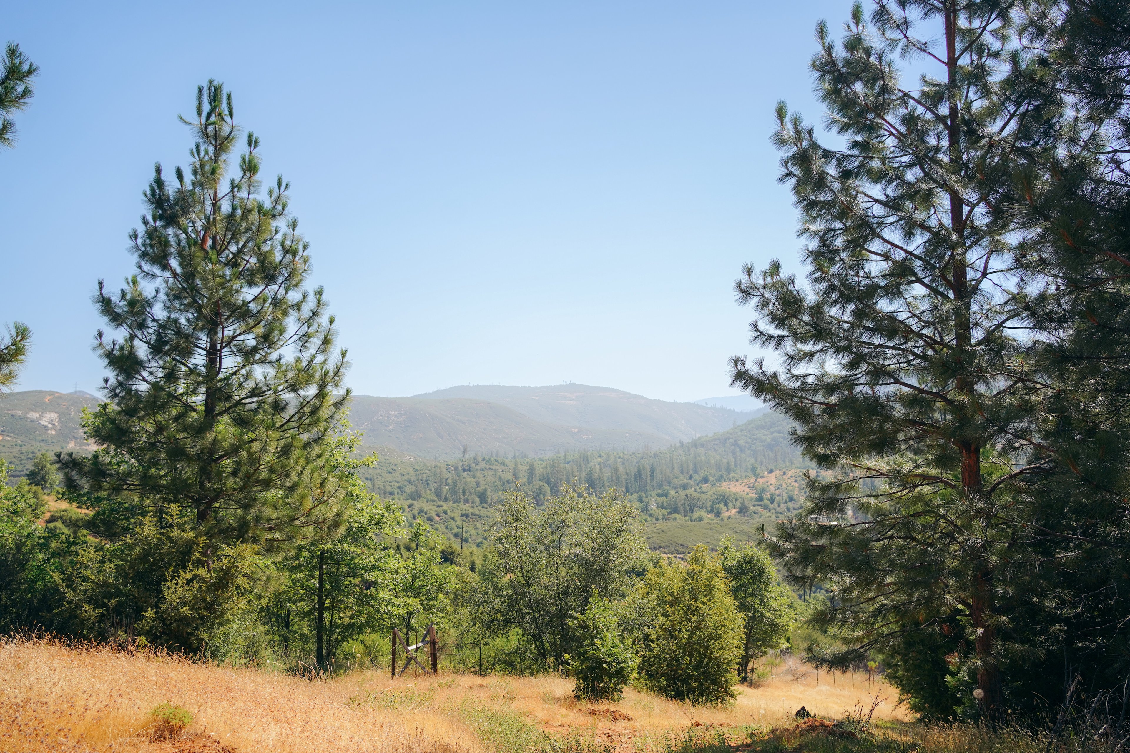 View from Cabin 1