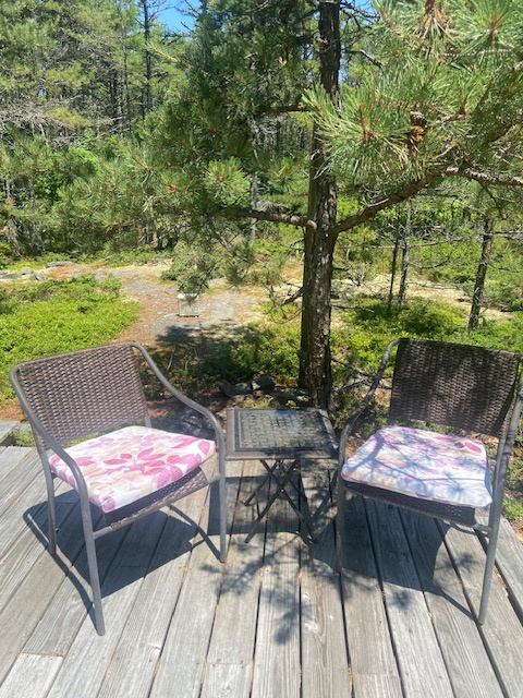 Maine Island paradise just off Rt 1