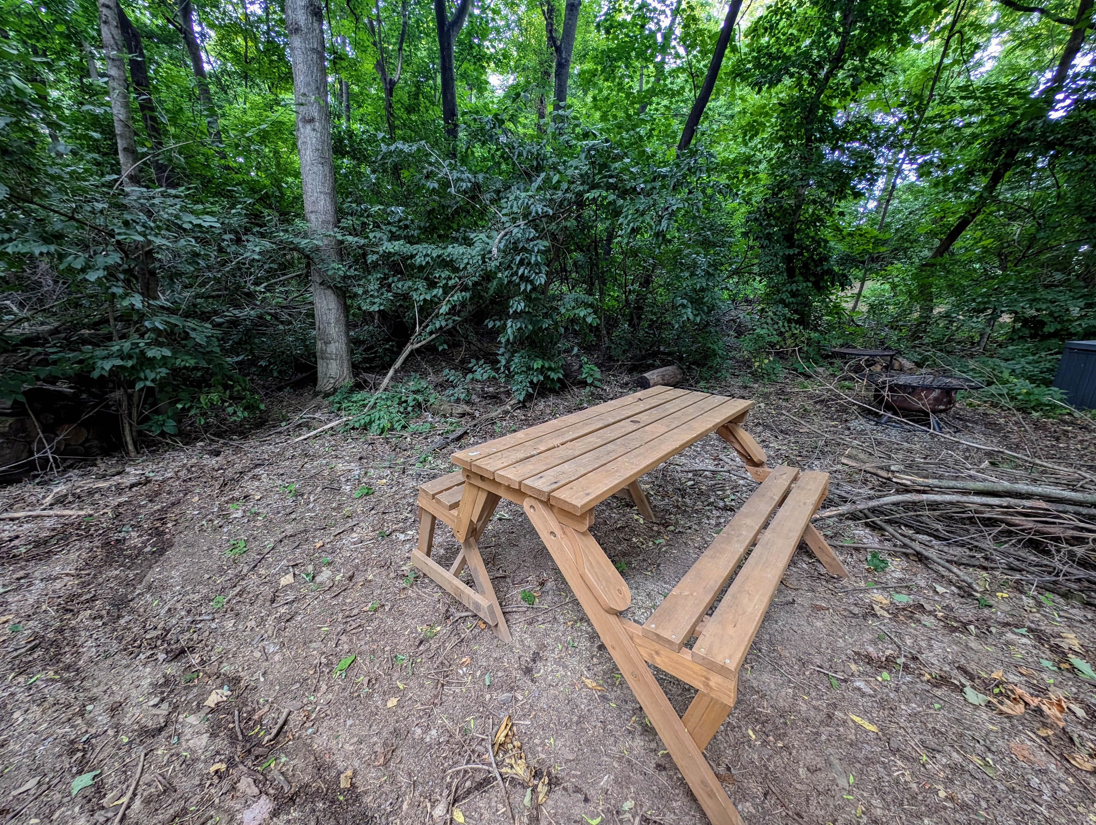 Solace Cabinette/Paix Cabinette