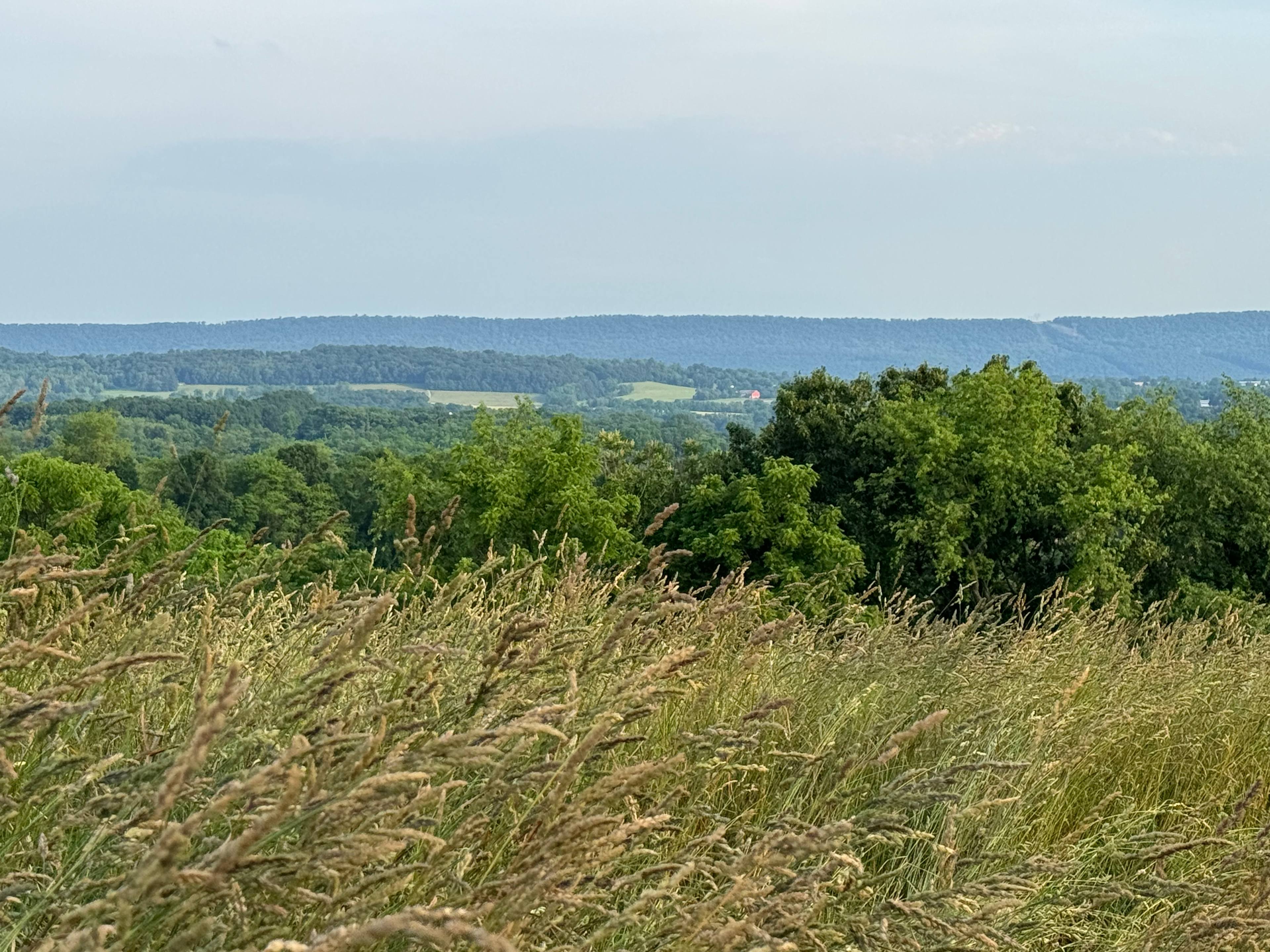 Gorgeous Water Overlook