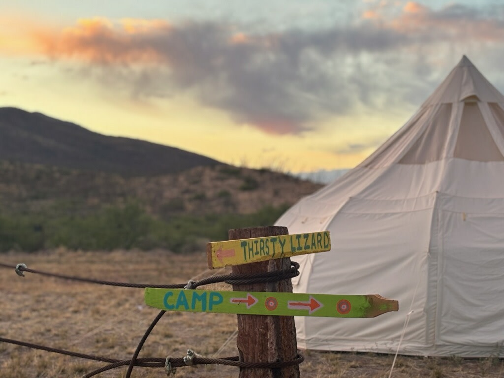 Dusty Lizard Dry Camp