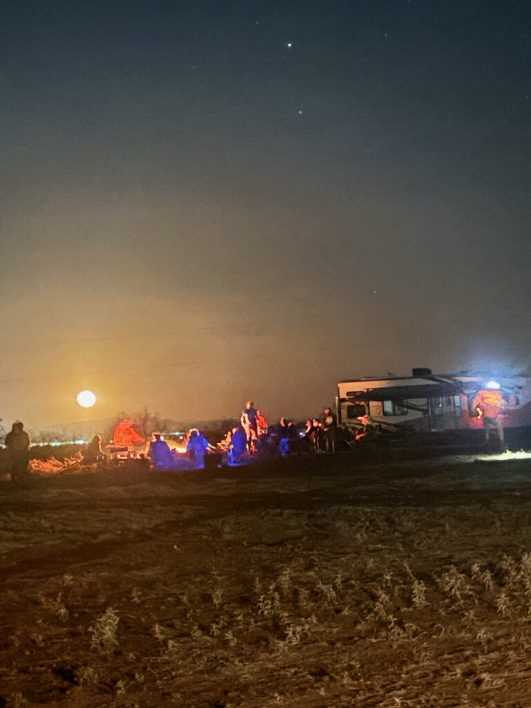 Dusty Lizard Dry Camp