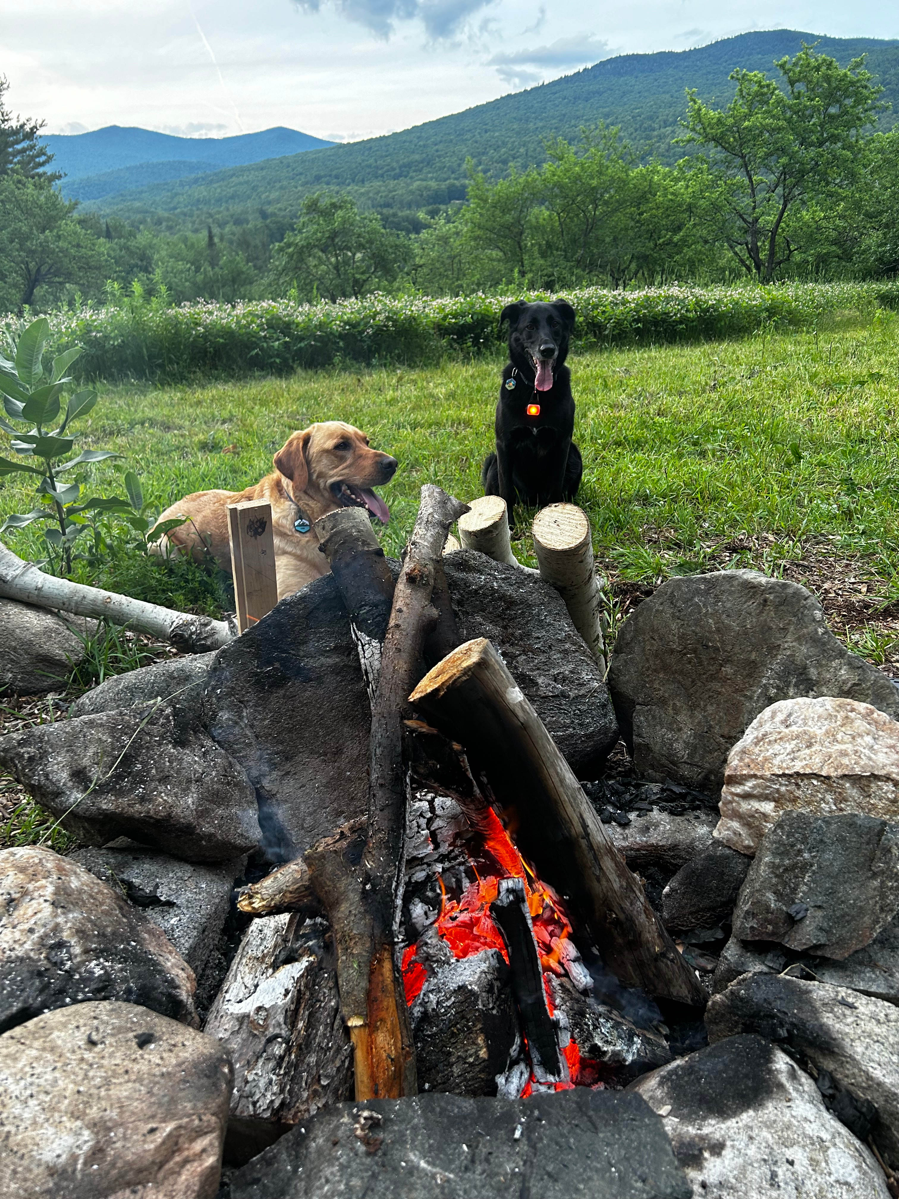 Mead Hill at Mount Cabot Maple