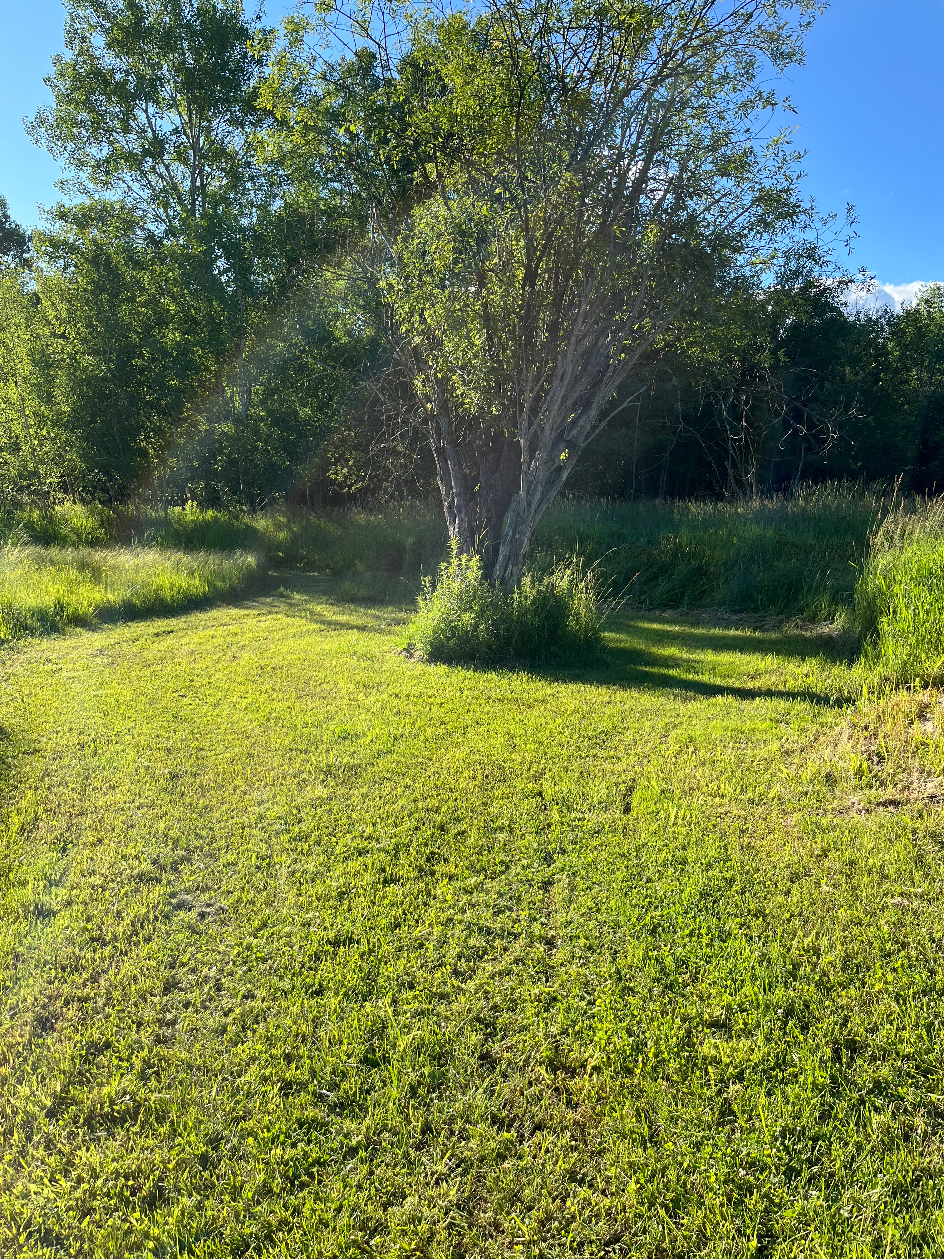 This is #2 Camp site and is close to the pond.