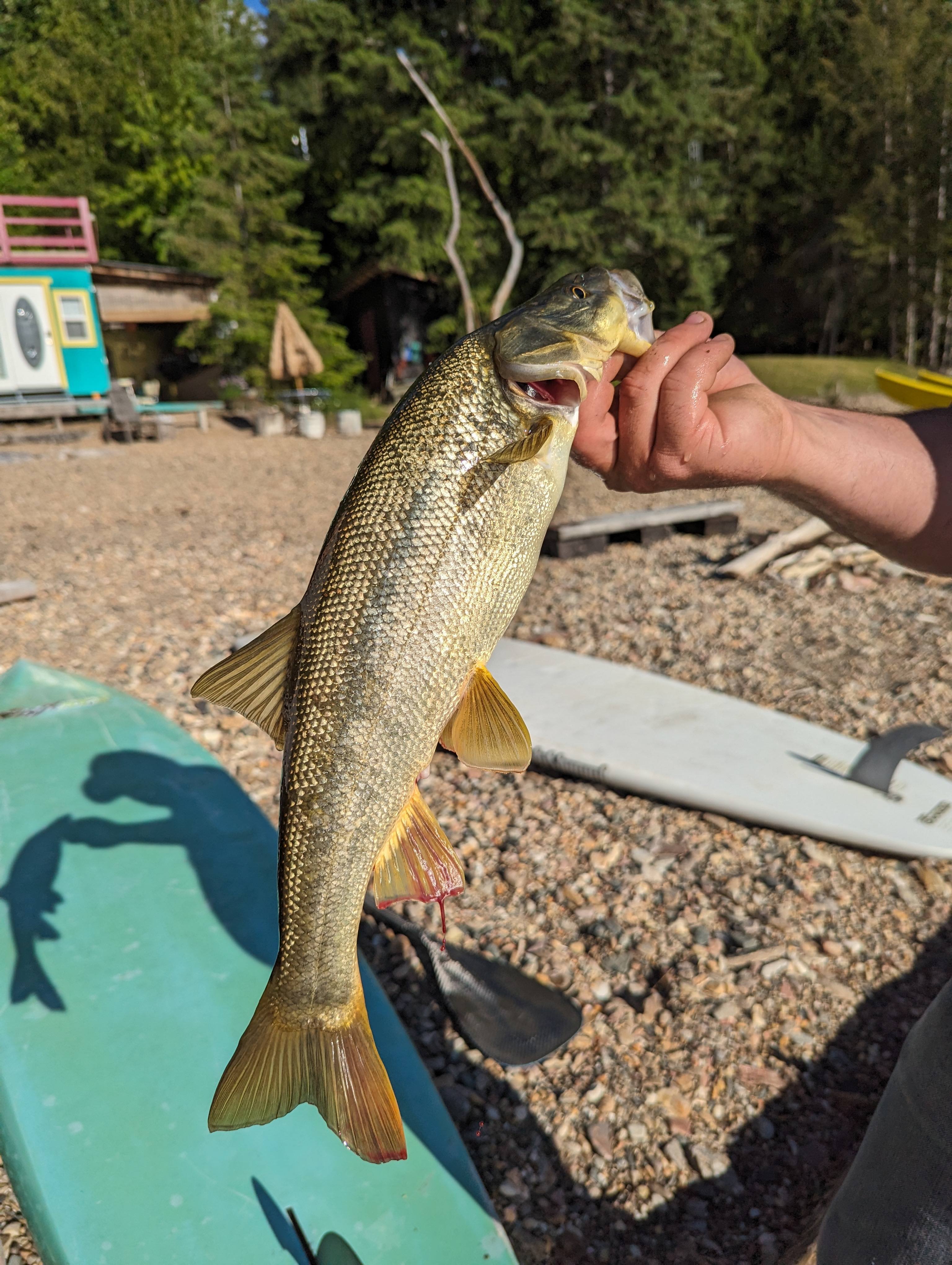 Sweet Beach House-edge of water