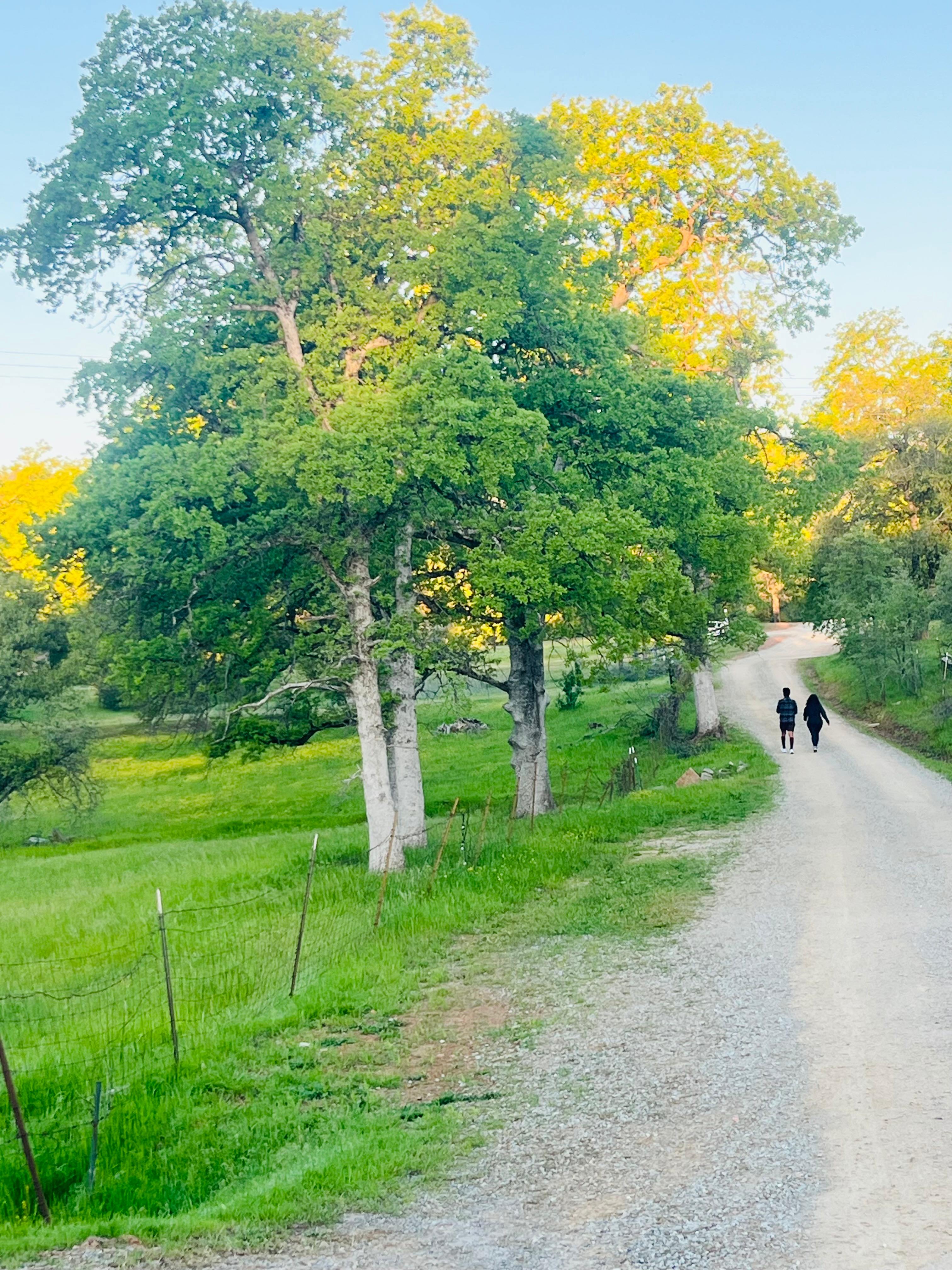 The road to our happy place