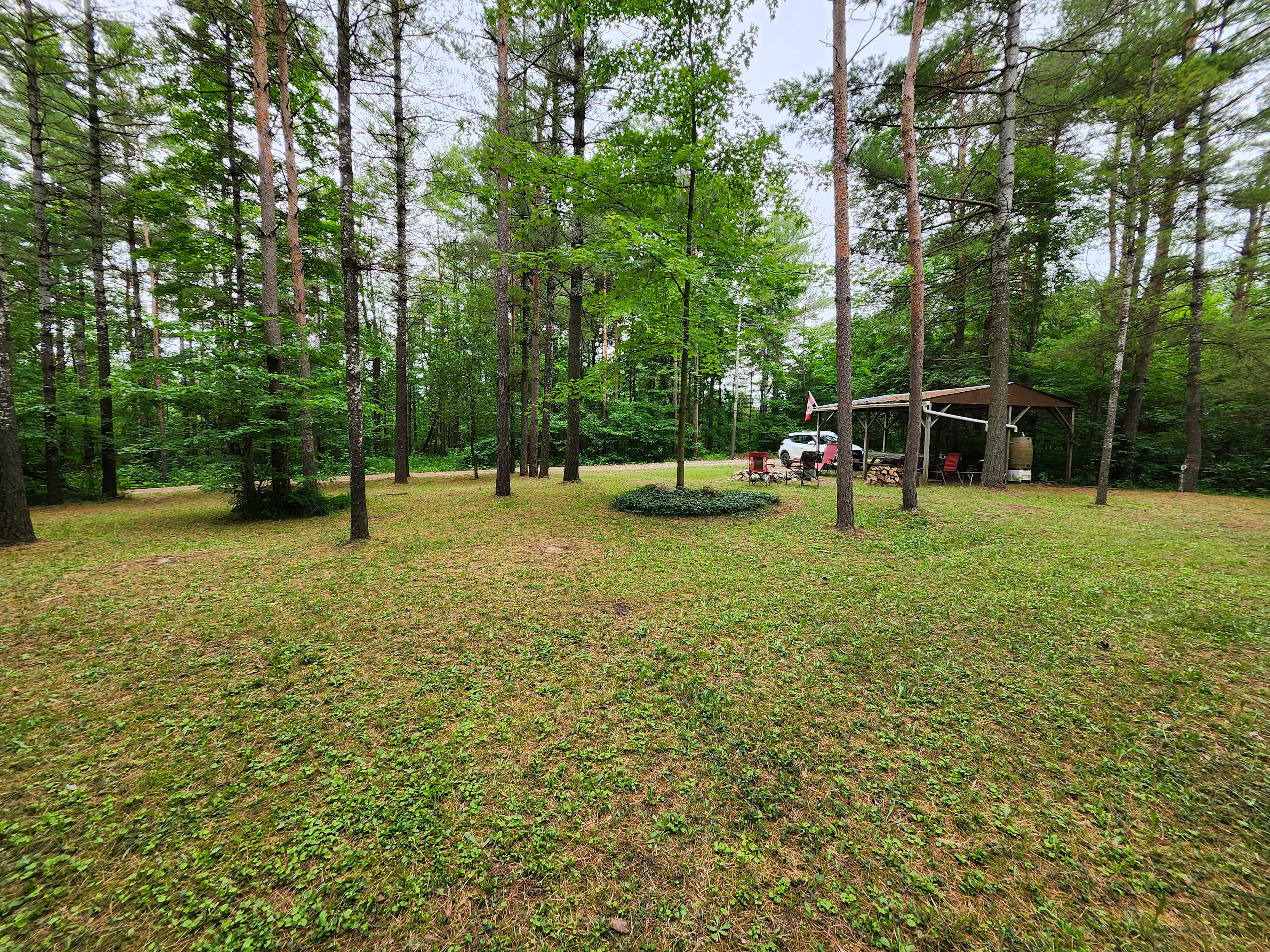 Raven Hollow - Woodland Retreat