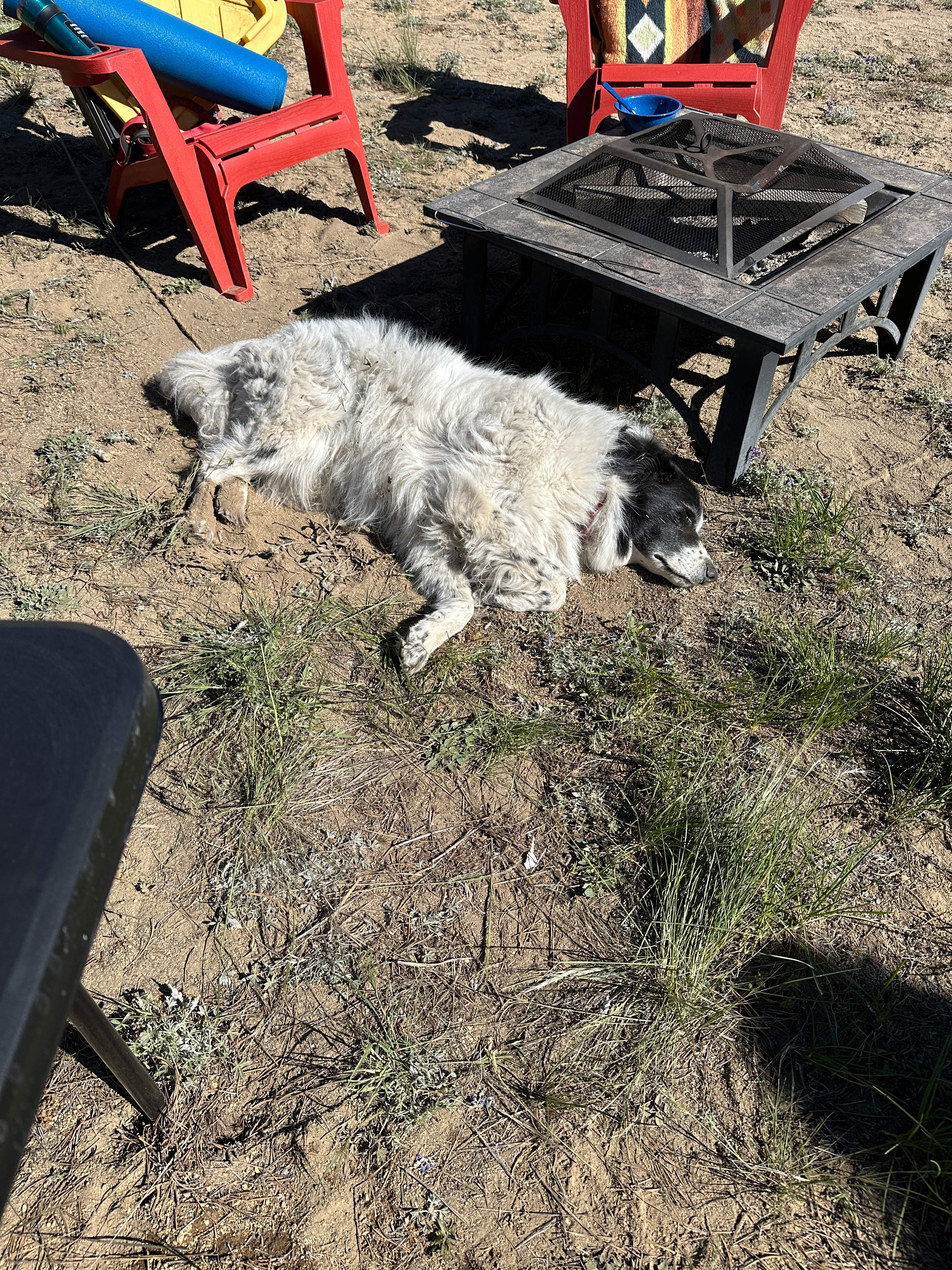 Great Spot for a Quick Rest