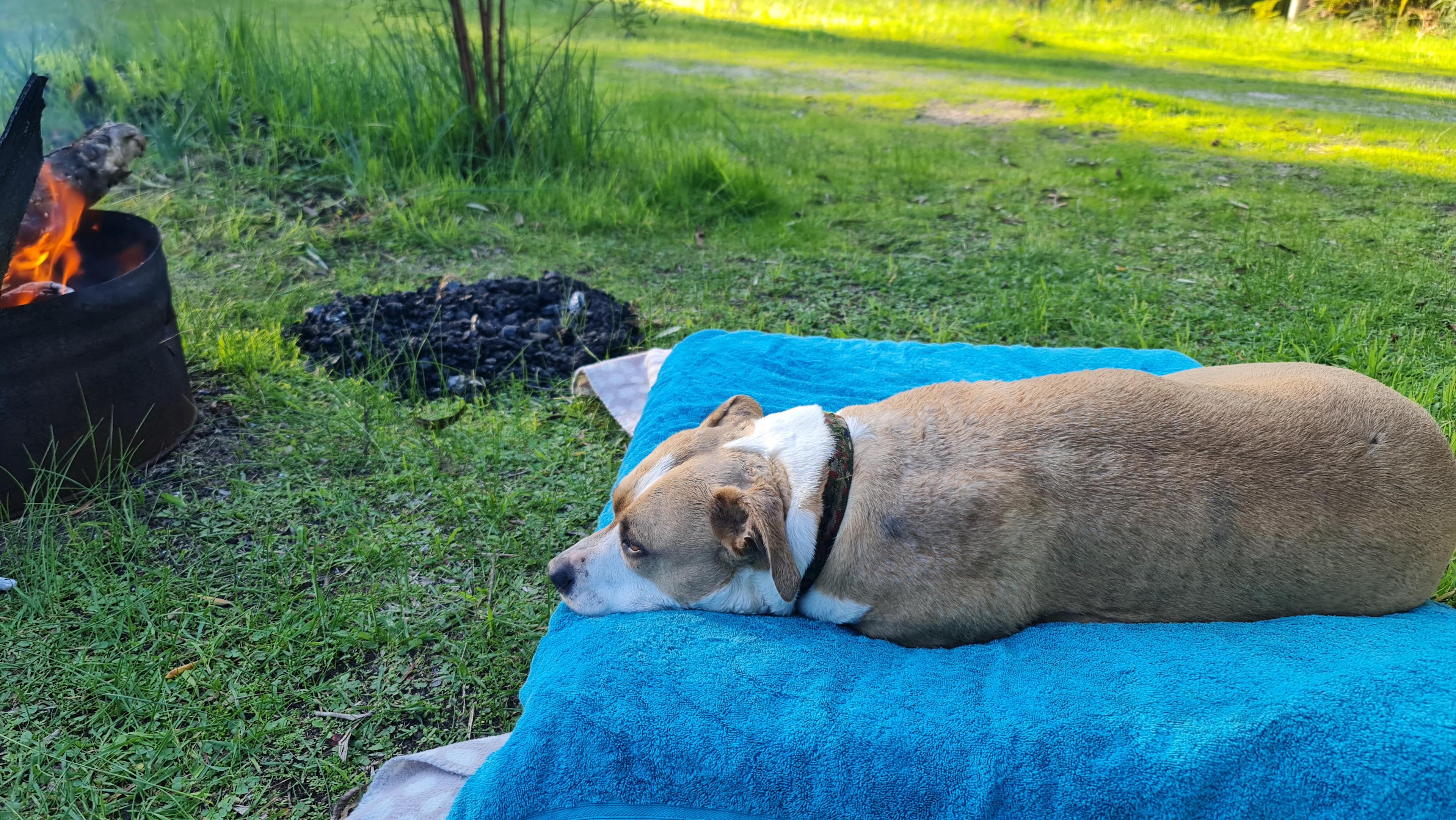 Kangamia Dam View Bamboo Site
