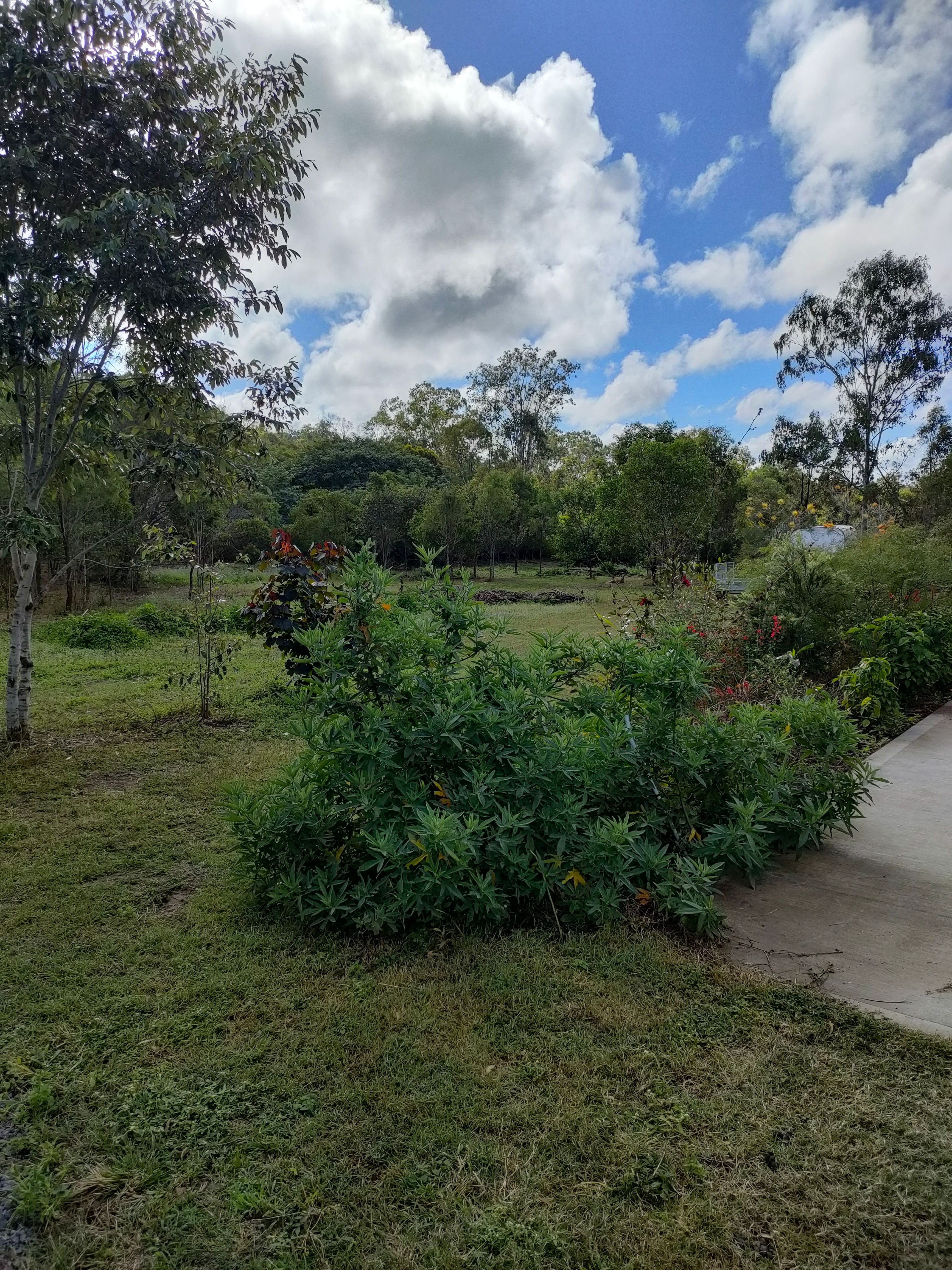 Camp off into the bush further